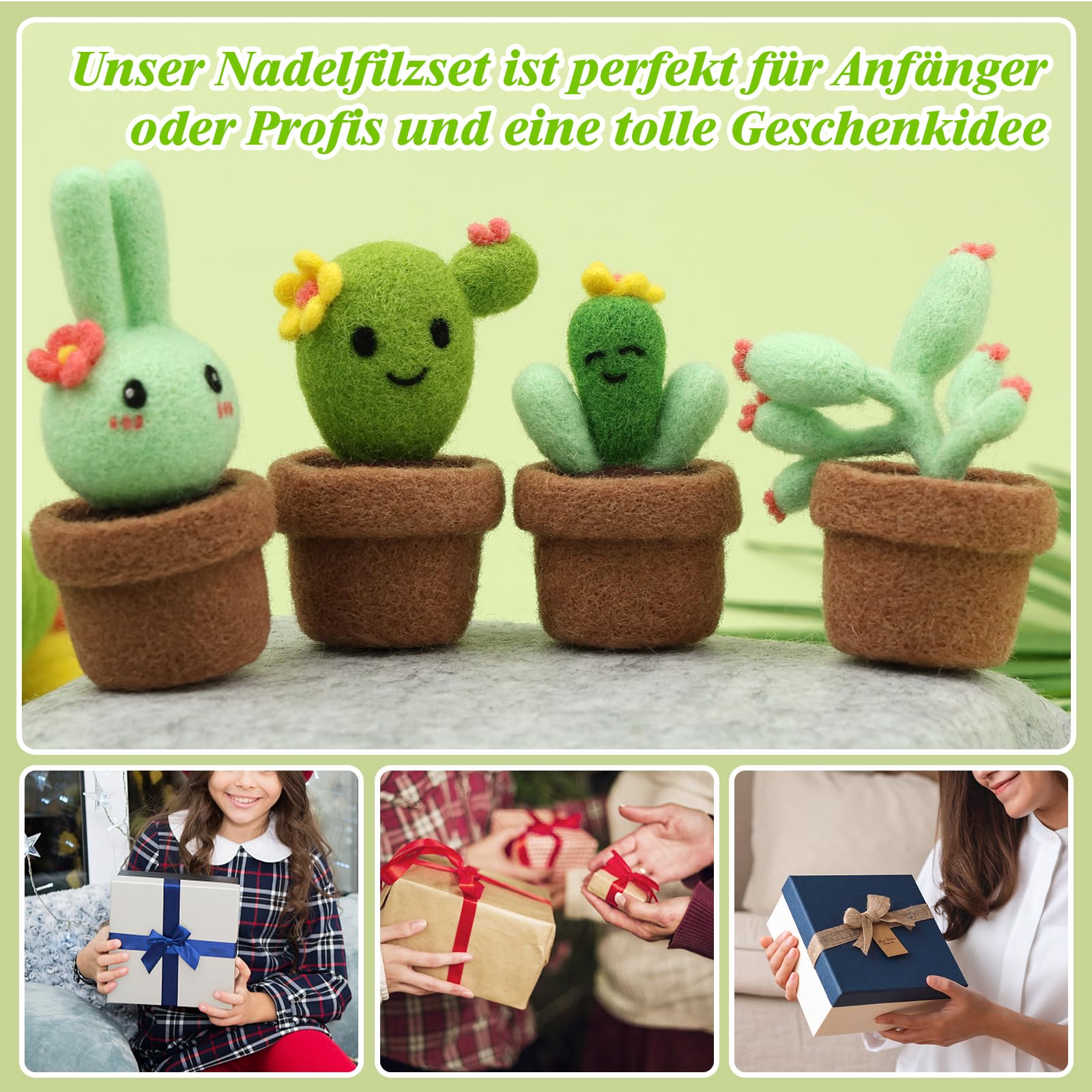 Bamru Naaldviltset voor beginners, set van naaldvilten, set met doos, 4-delige schattige cactus-wolviltset, naaldvilt-accessoires met naaldviltpad, viltnaalden, viltwol, handleiding (mogelijk niet