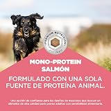 Ver la foto 3