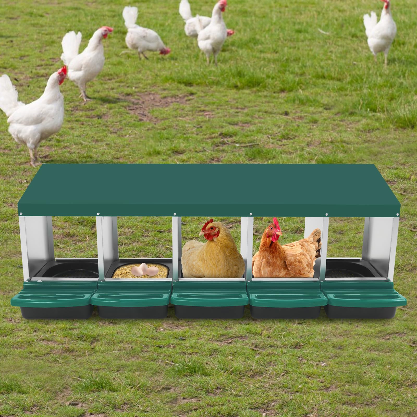 Nido para pollos, 5 compartimentos, nido de pollo de acero galvanizado y plástico, con pie en el suelo o en la pared, con toldo para gallinero y aves de corral