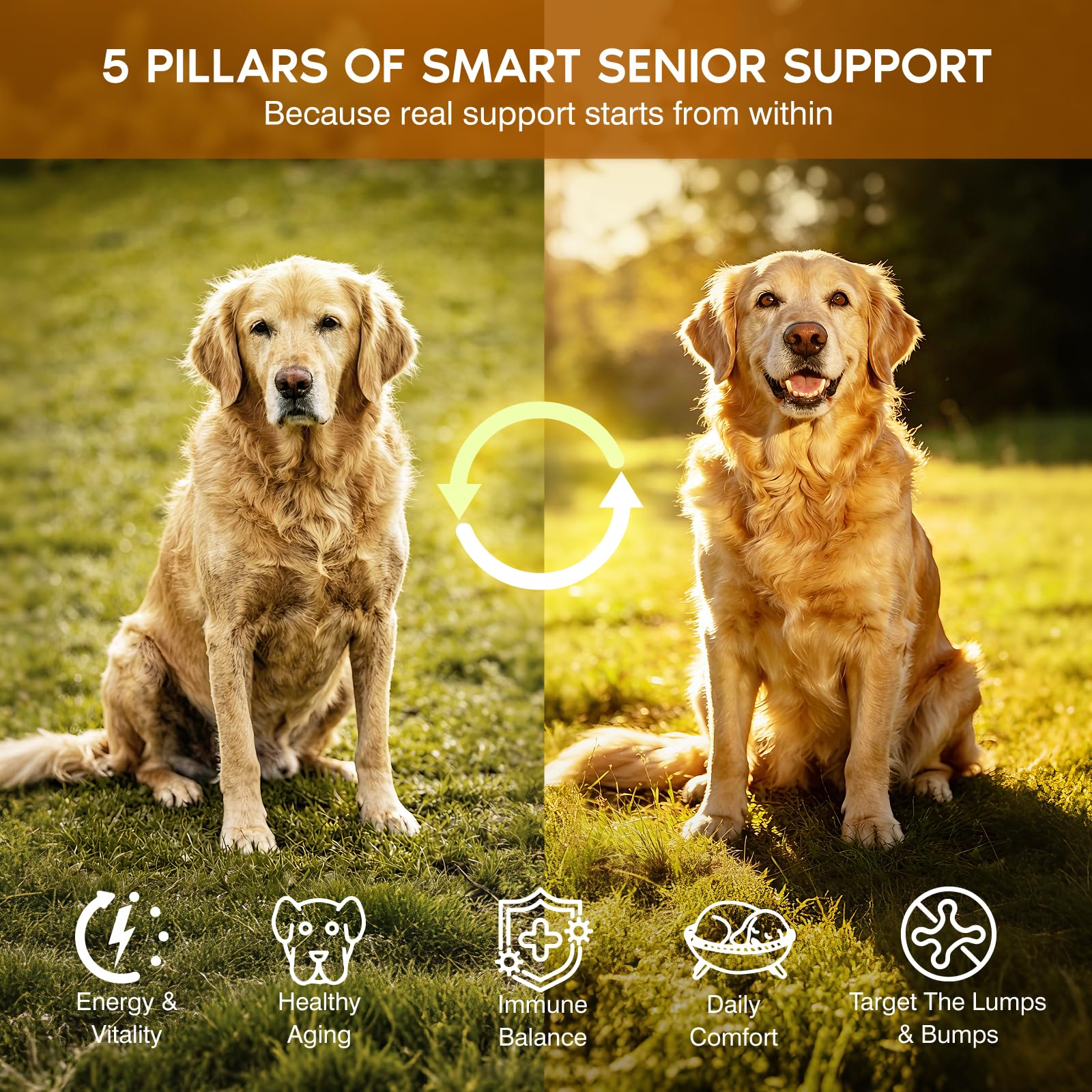 Turkey Tail Mushroom for Dogs,Senior Dog Supplement for Lumps, Bumps & Lipoma,Soft Chews with Reishi, Maitake, Turmeric & Astragalus,Supports Immune Health,Natural Chicken Flavor, 120 Count — Amazon image 5