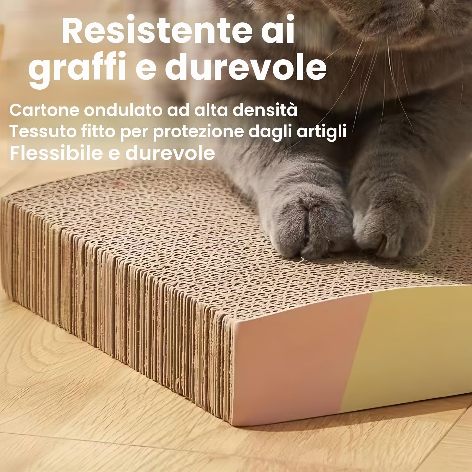 Confezione da 2 scatole per lettiera per gatti in acciaio inossidabile con lati alti - Vassoio per gatti in metallo, grande vassoio per lettiera interna, non assorbe mai gli odori, accessori
