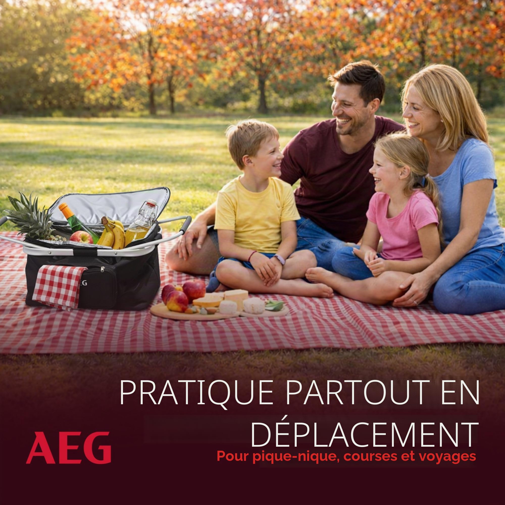 AEG Glacière
