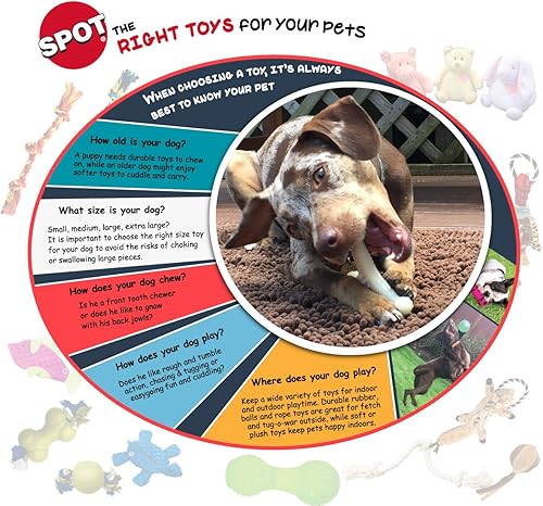 Miniatura 3 de SPOT Paquete económico de pelotas de tenis, 6 pelotas