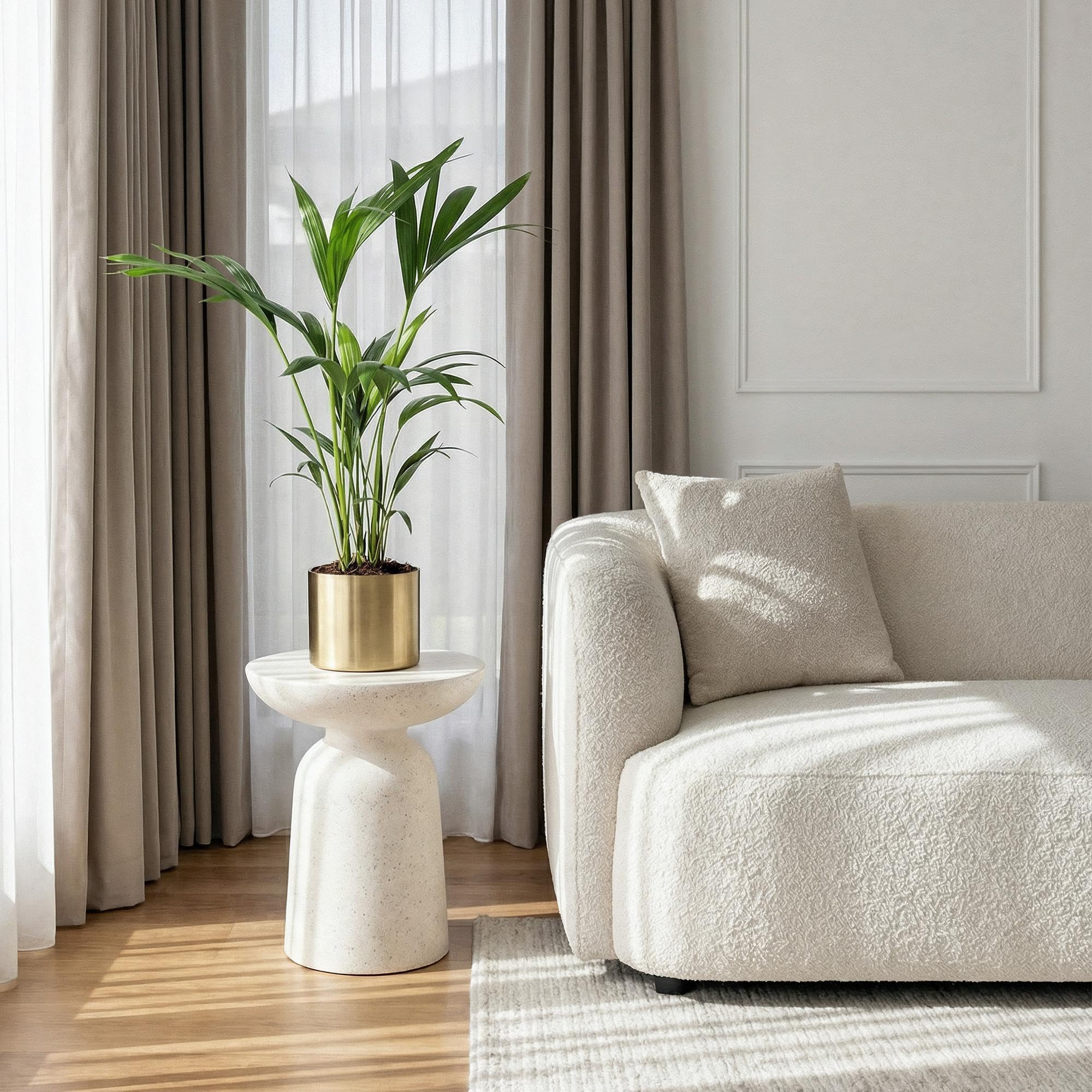 Howea Forsteriana – Palma Kentia – 70 – 75 cm – 17 cm – Palma da interno facile da pulire con eleganti frantumi, pianta verde tropicale e purificante dell'aria per interni moderni