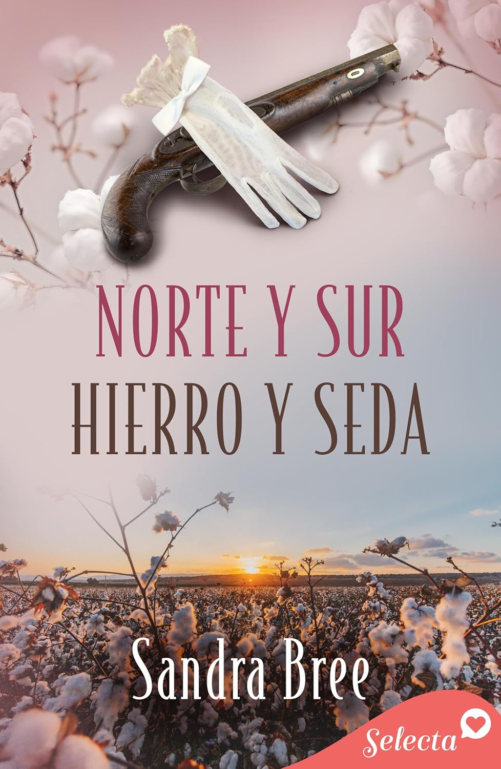 Portada del libro Norte y Sur. Hierro y Seda