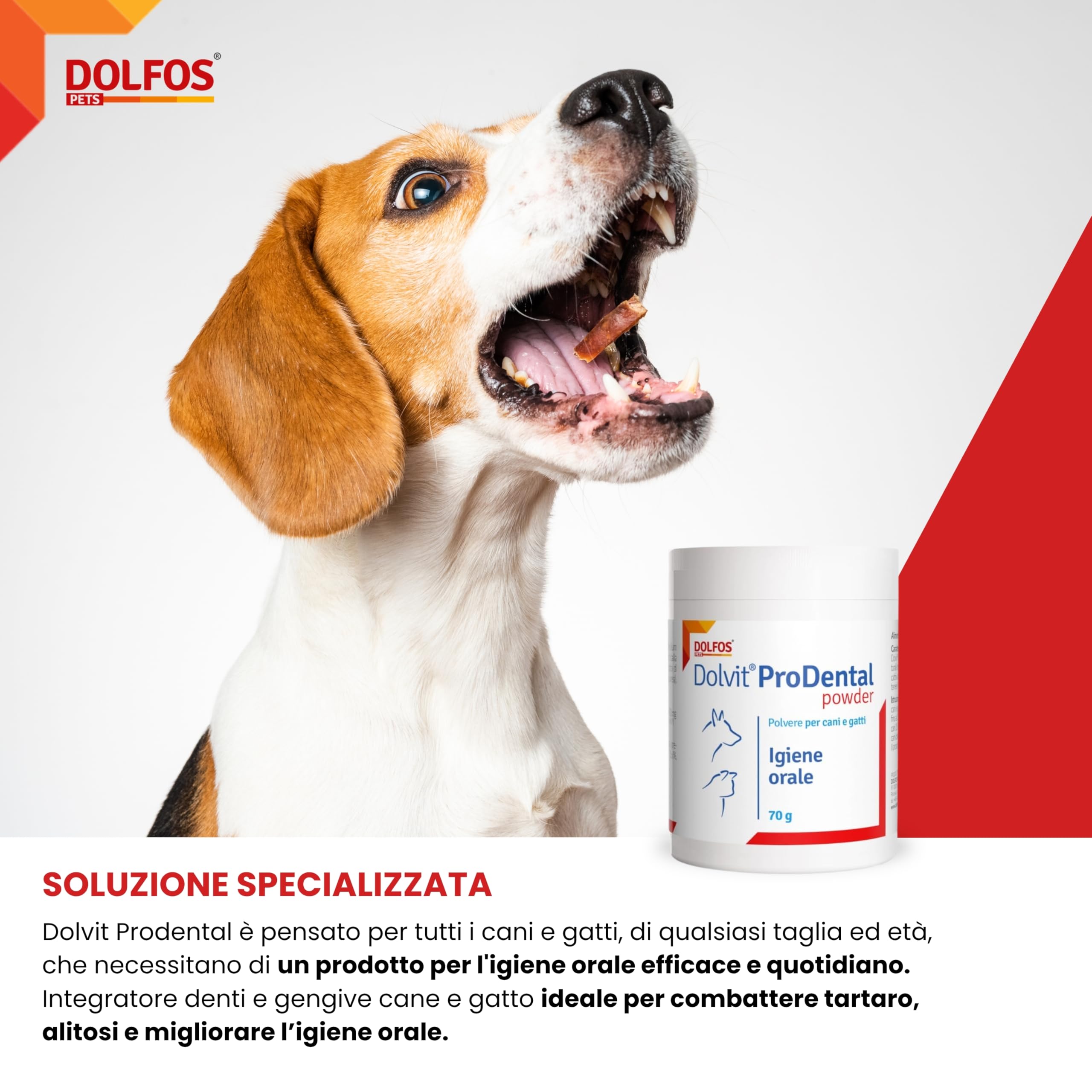 Dolvit Prodental Integratore per Igiene Orale Cane Gatto - Pulizia Bocca Cani e Gatti dai Batteri - Rimuove Placca, Tartaro e Alitosi Rendendo Fresco l’Alito - Confezione da 70 gr