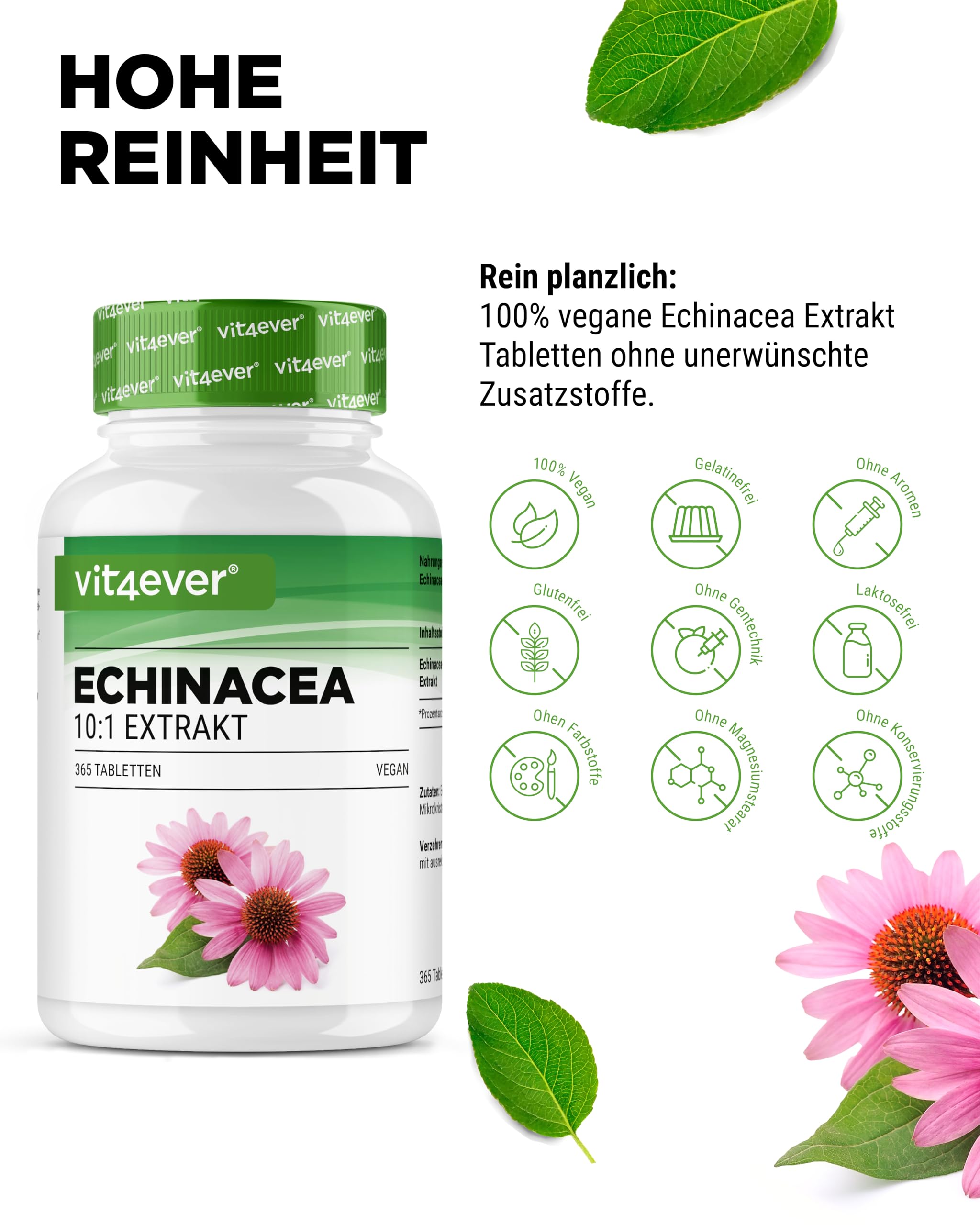 vit4ever Echinacea 500 mg - 365 vegane Tabletten - Natürliches Echinacea Extrakt 10:1 - Hochdosiert - Ohne unerwünschte Zusätze - Vegan