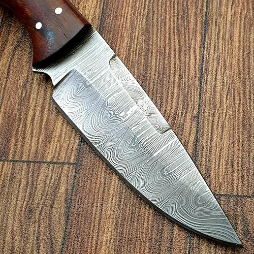 Miniatura 4 de WARIVO KNIFE Cuchillo de caza de Damasco hecho a mano, cuchillo de hoja fija con funda. Cuchillo de supervivencia EDC con mango de palisandro de 10