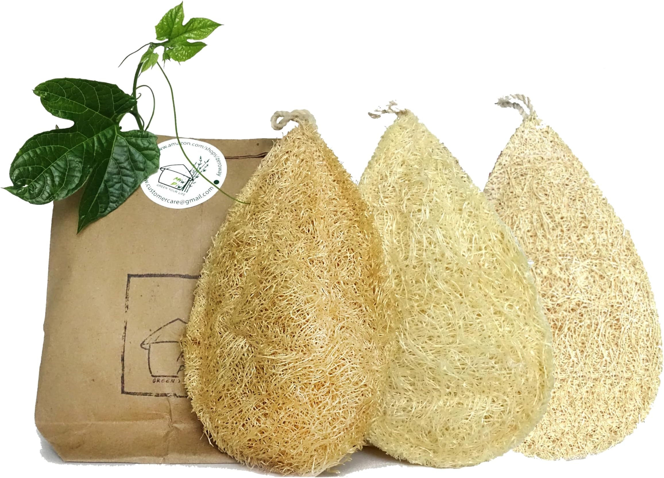 LOOFAH SCRUB