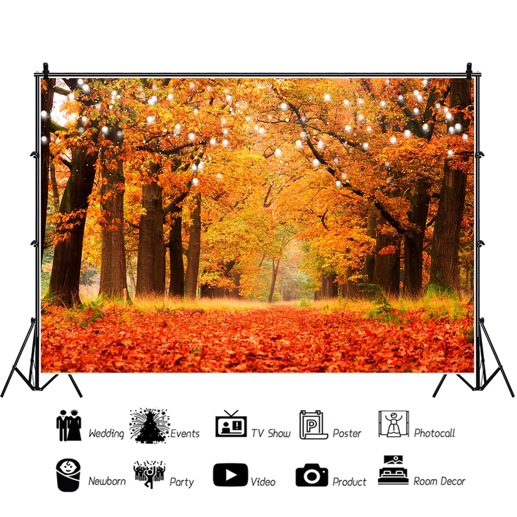 De Herfst of Dankzeggingsachtergrond Met Decoratieve Pompoen, Graan, Kegels, Wallnuts De Herfst of Dankzeggingsachtergrond Met Decoratieve Pompoen, Graan, Kegels, Wallnuts