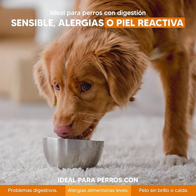 Foto 4 de 7 de Yerbero Nature Digestive, Pienso Hipoalergénico para Perros Adultos, Alimento de Pollo, Low Grain, con Arroz
