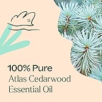 Vista 5 de Plant Therapy Atlas Cedarwood Essential Oil 30 mL (1 oz) 100% Pure, Undiluted, Therapeutic Grade