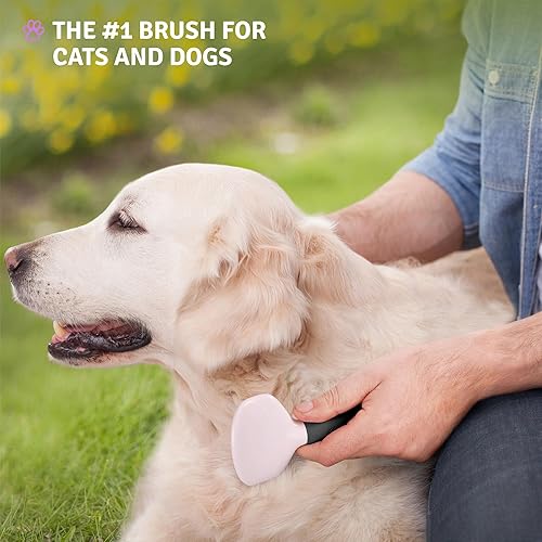 Poodle Pet Slicker Brush - For Dogs, Cats, Rabbits - Matted/Loose Fur, Knots - Suitable for Doodle/Goldendoodle Grooming and Shredding Short/Long Hair(Black)