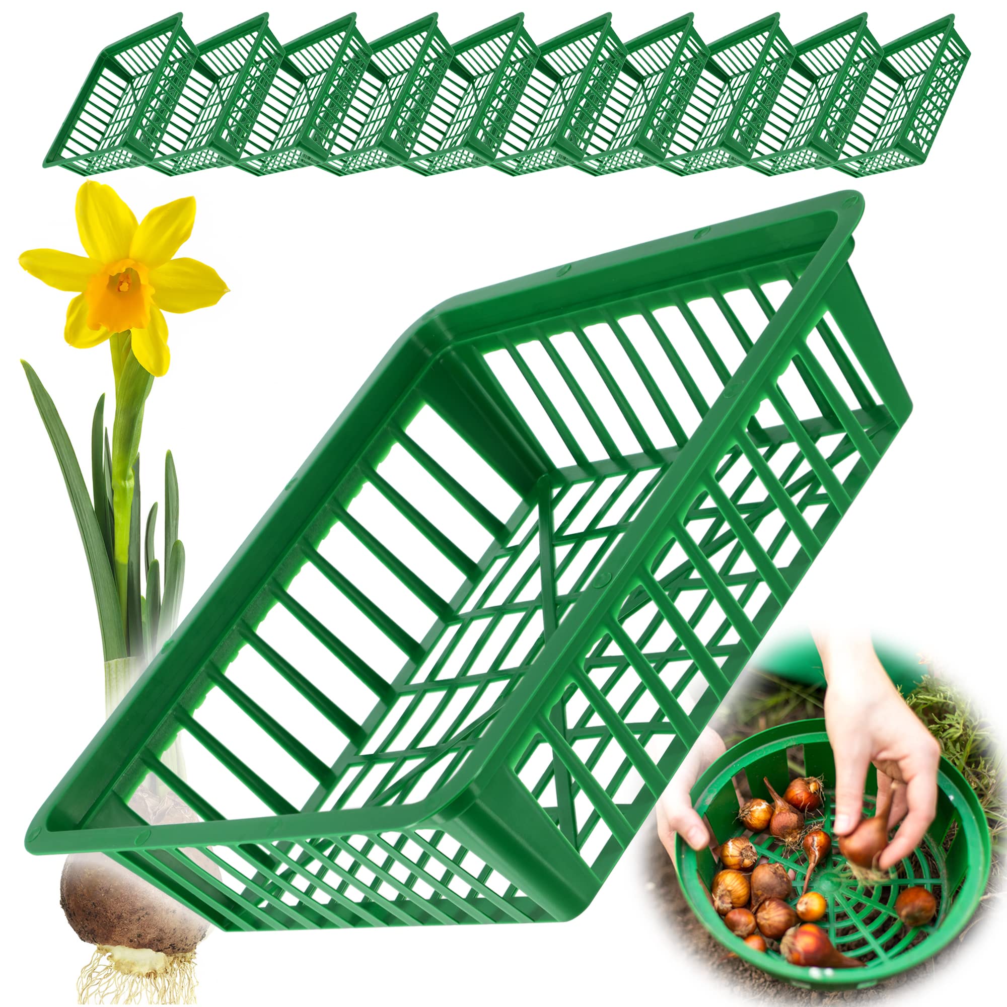 KADAX Cesta de Cultivo para cebollas de Flores, Cesta de Cultivo de plástico, Cuenco de Cultivo para Plantas Vegetales, Cesta de cebollos, Cesta en 2 Formas para (28 x 26 cm, Juego de 10 Unidades)