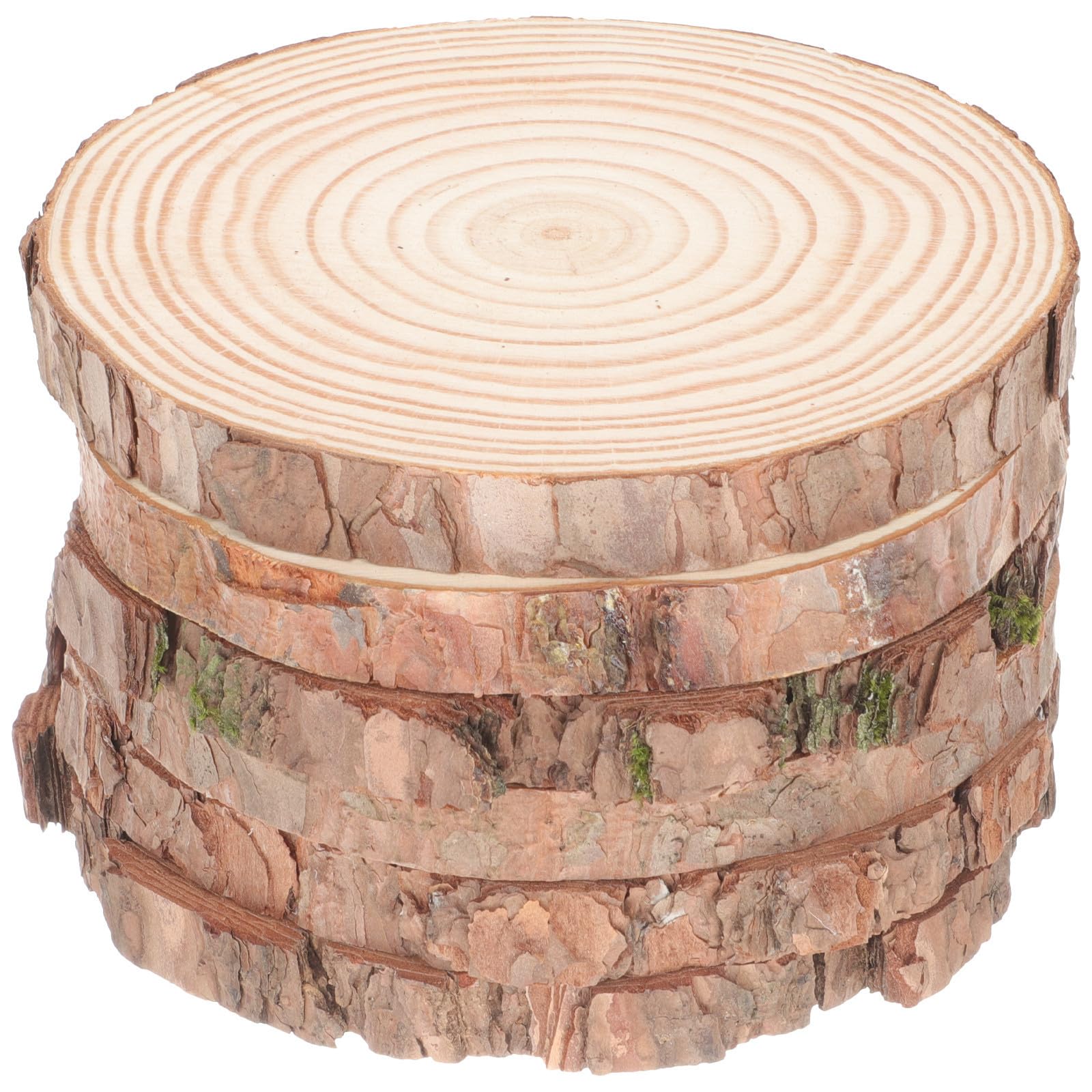 Homoyoyo 6 Pezzi Dischetti di Legno Tondo Naturale Non Rifiniti per | Fette Rotonde in Legno di Pino, per Pittura e Sottobicchieri, Supporto Semplice per Progetti Fai da Te