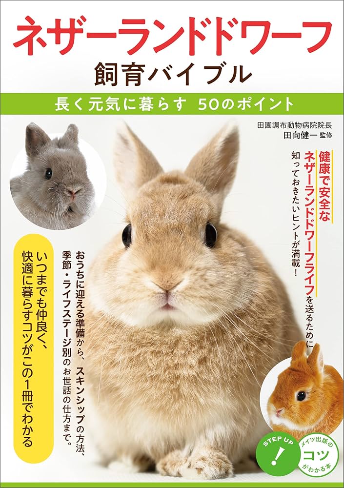 2点セットに変更　ネザーランドドワーフ様 2点セットに変更 ネザーランドドワーフ様 ネザーランドドワーフ