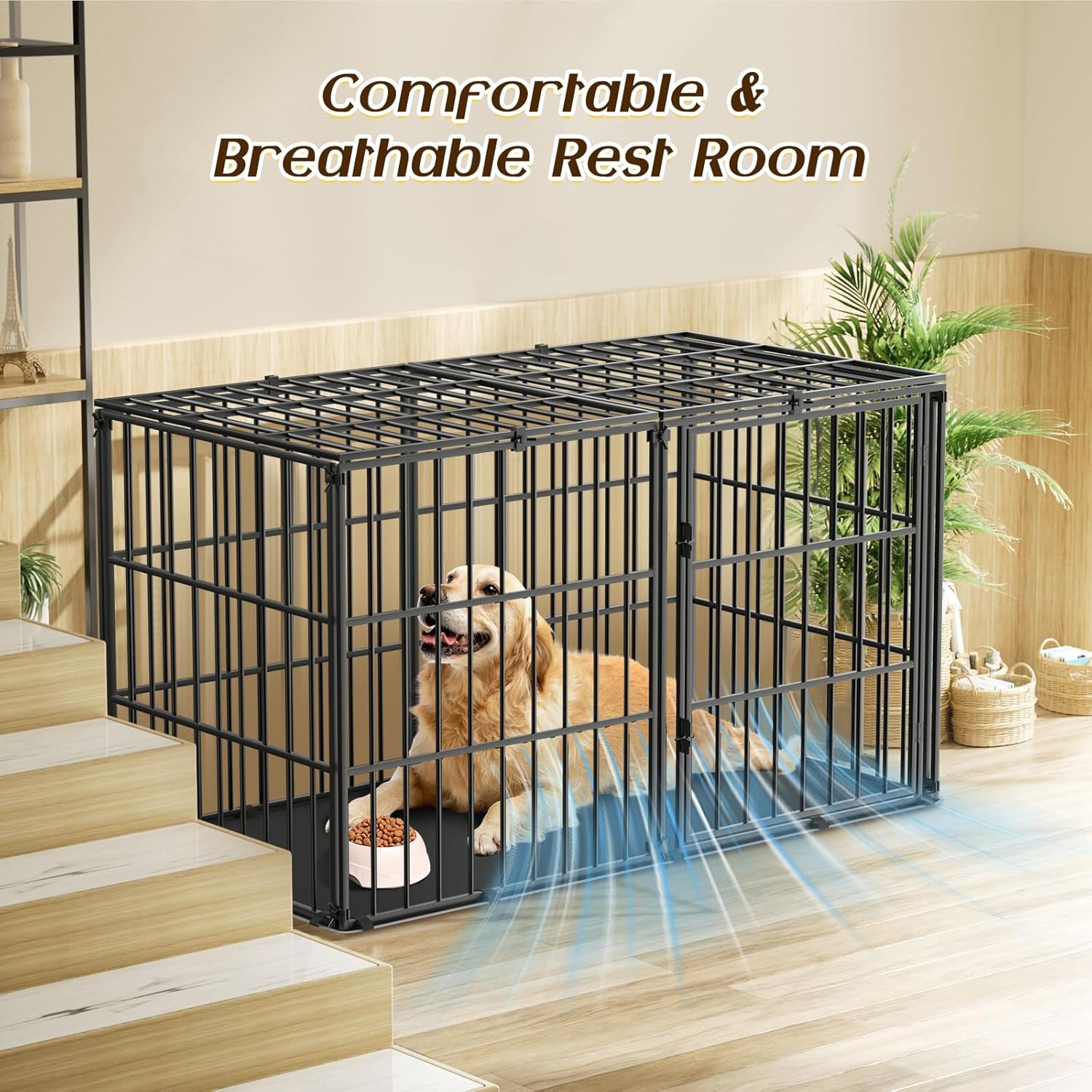 https://m.media-amazon.com/images/I/81rU0oYJLlL._AC_SL1500_.jpg