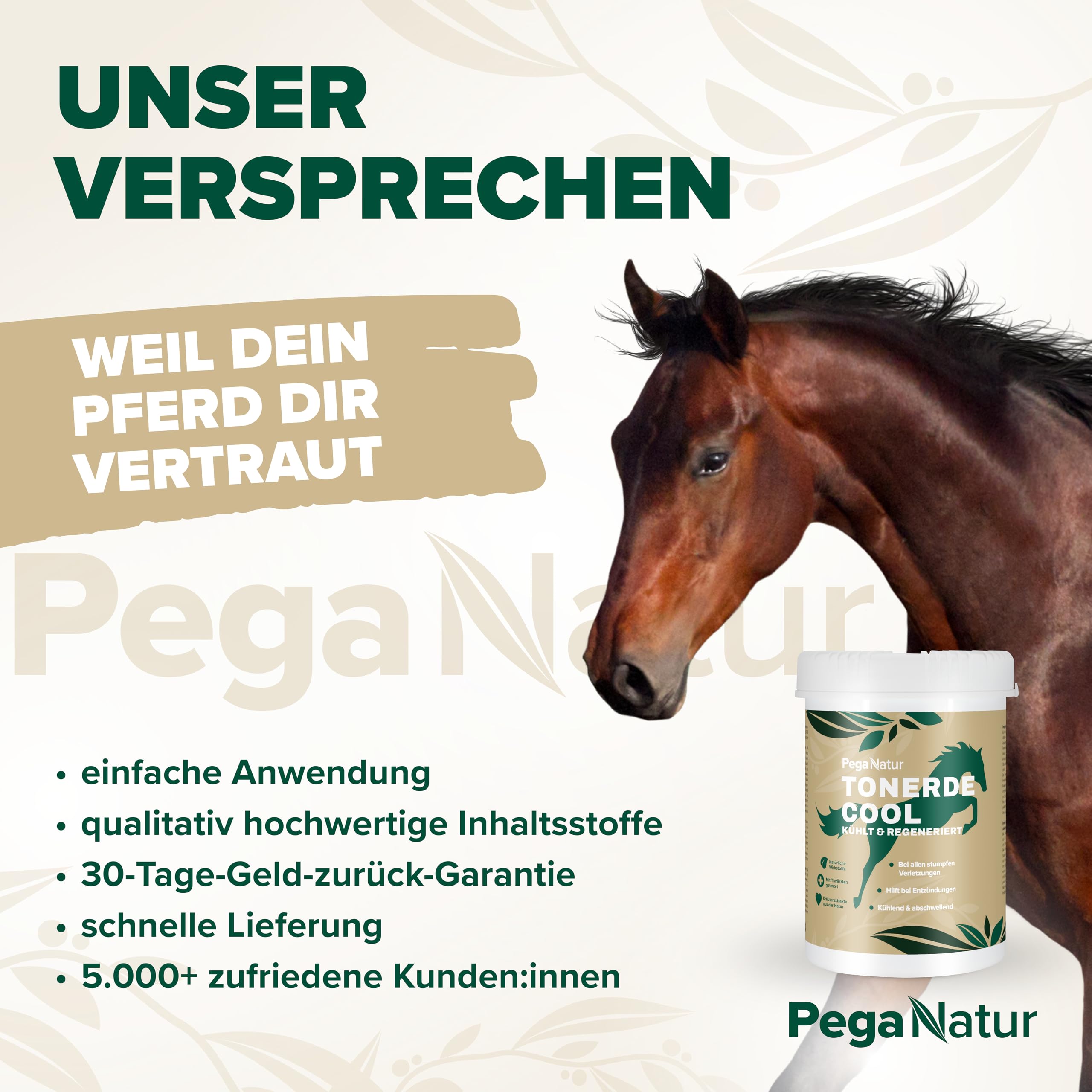 Cool Essigsaure Tonerde [wohltuend & kühlend] 2,5kg Pferdesalbe mit ätherische Öle hilft bei Regeneration, Entspannung, Bänder, Gelenke, Muskel & Muskelkater bei Pferde Pferdebalsam Heilerde