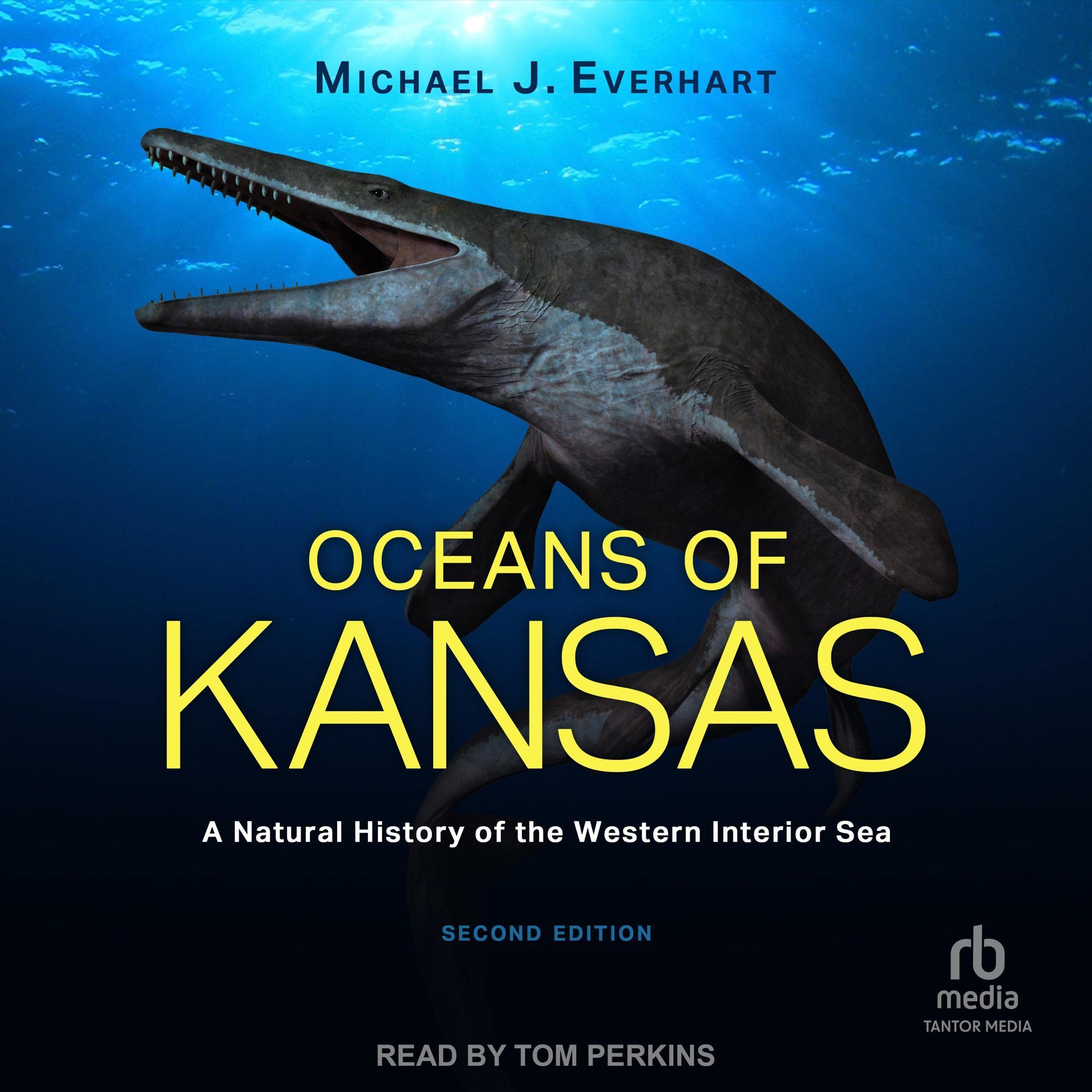 Cover art for Oceans of Kansas
