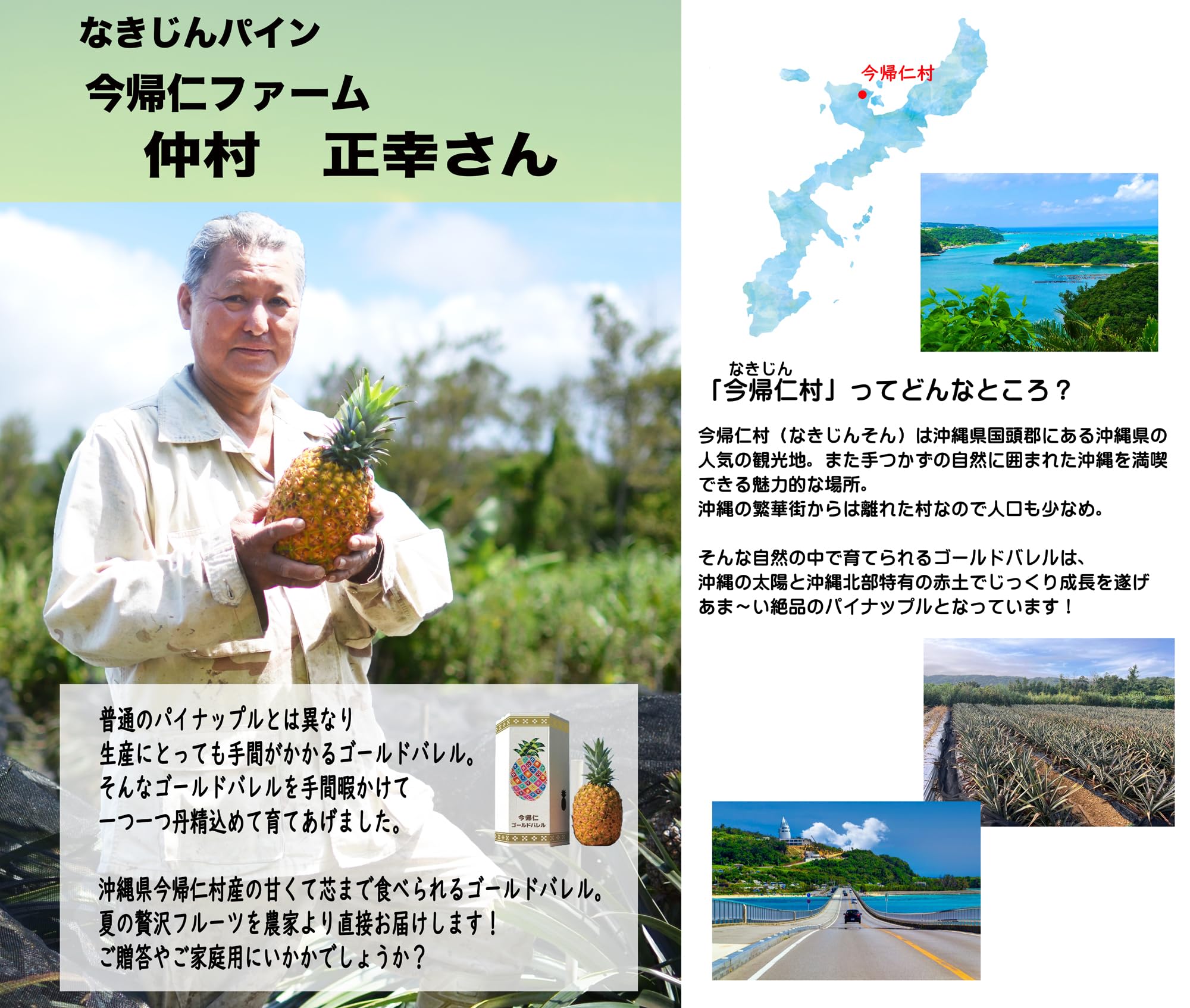 Amazon.co.jp: 夏ギフト 沖縄県産ゴールドバレル パイナップル【 大玉
