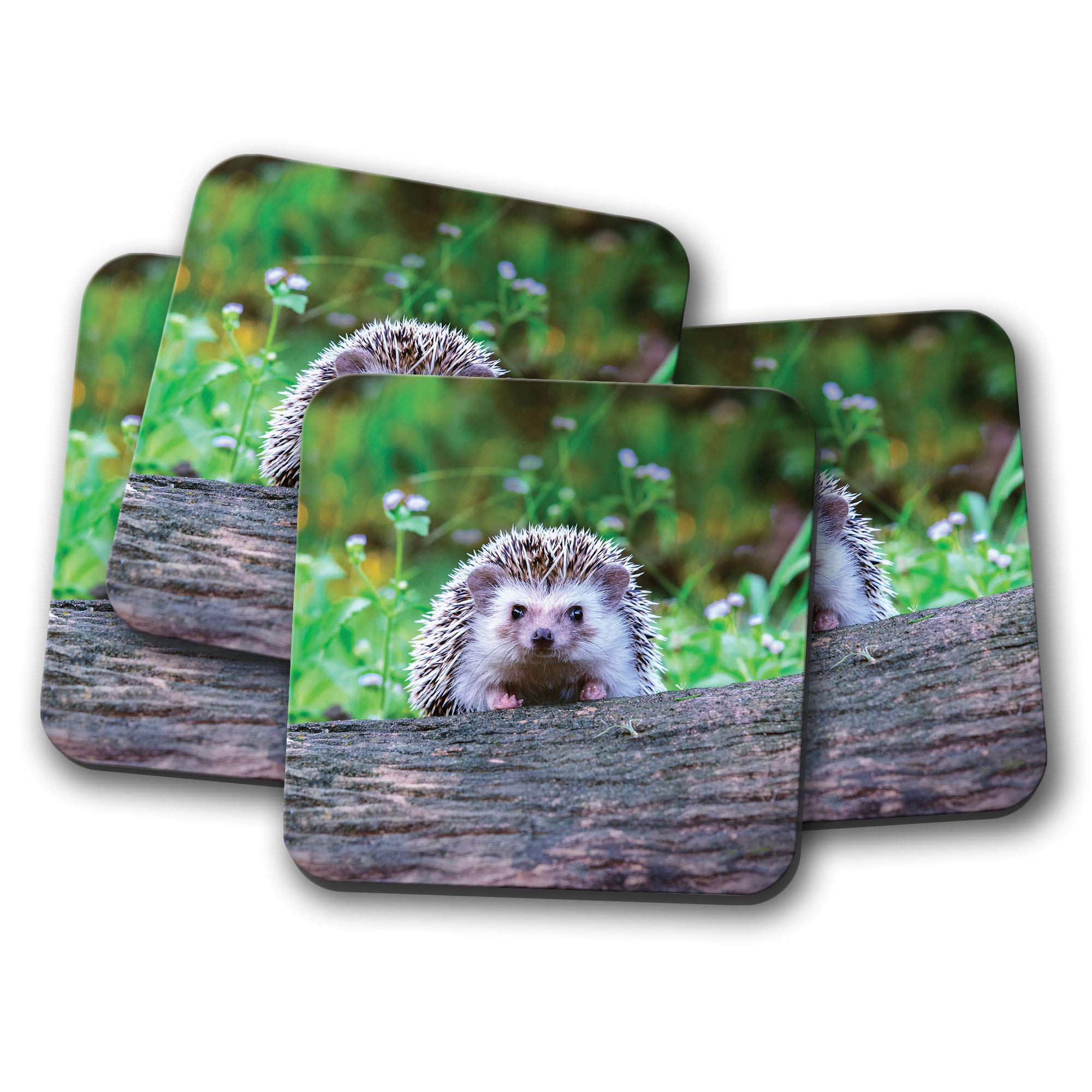 Destinationvinyl Multicolor 4 Set - Cheeky Hedgehog Coaster - British Wildlife Garden Cute Funny #14322