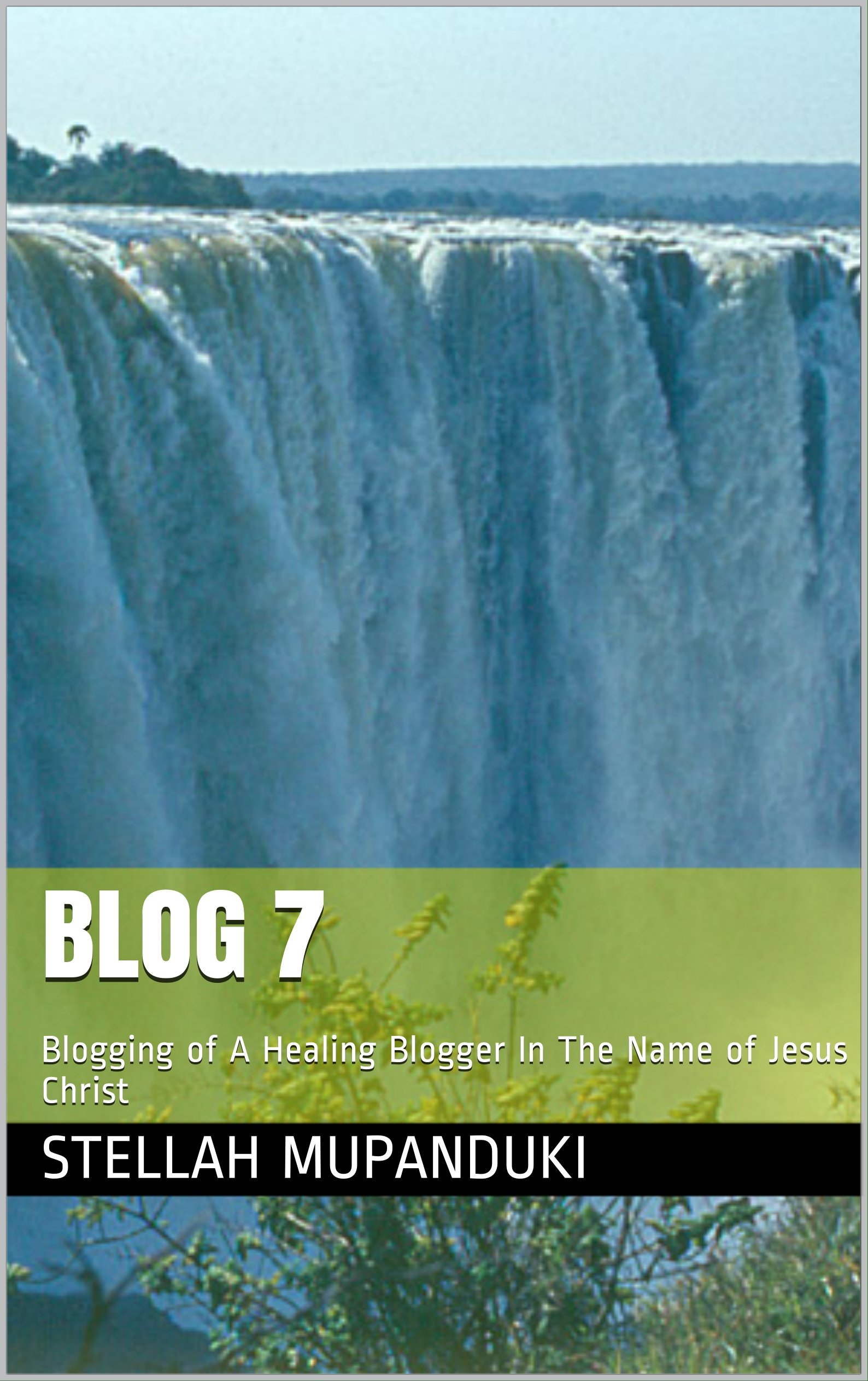 Blog 7: Blogging of A Healing Blogger In The Name of Jesus Christ
