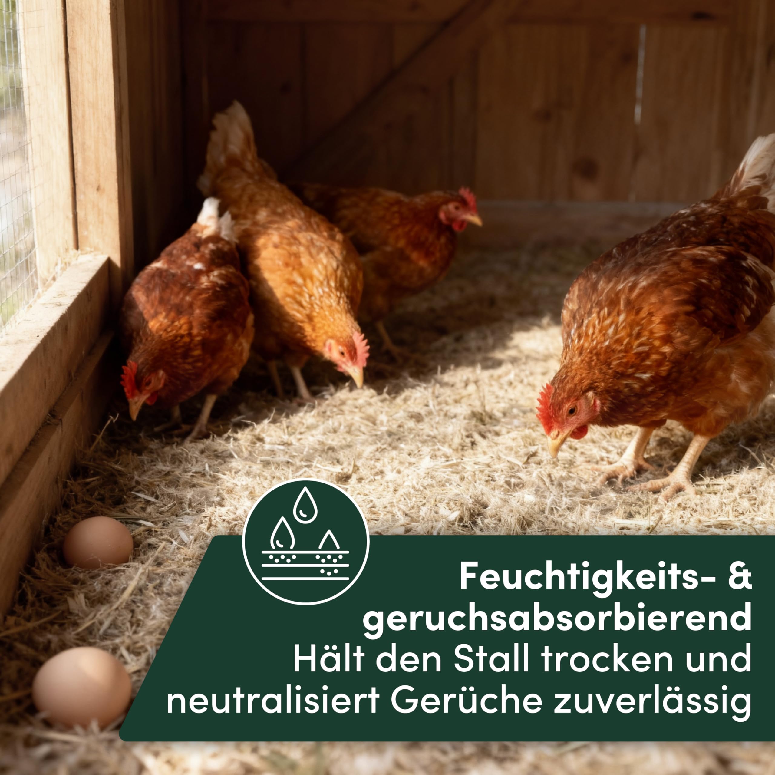 Hanfeinstreu (14 kg) mit Eukalyptus für Hühner, Kleintiere & Pferde – staubarmes Hanfstreu für Hühner & Pferde – extrem saugfähiges & kompostierbares Hanf Einstreu für Tierställe