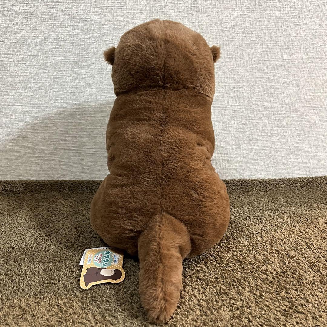Amazon.co.jp: AMUFUN Kuttari Otter Genki Tachi Big Plush Toy Brown