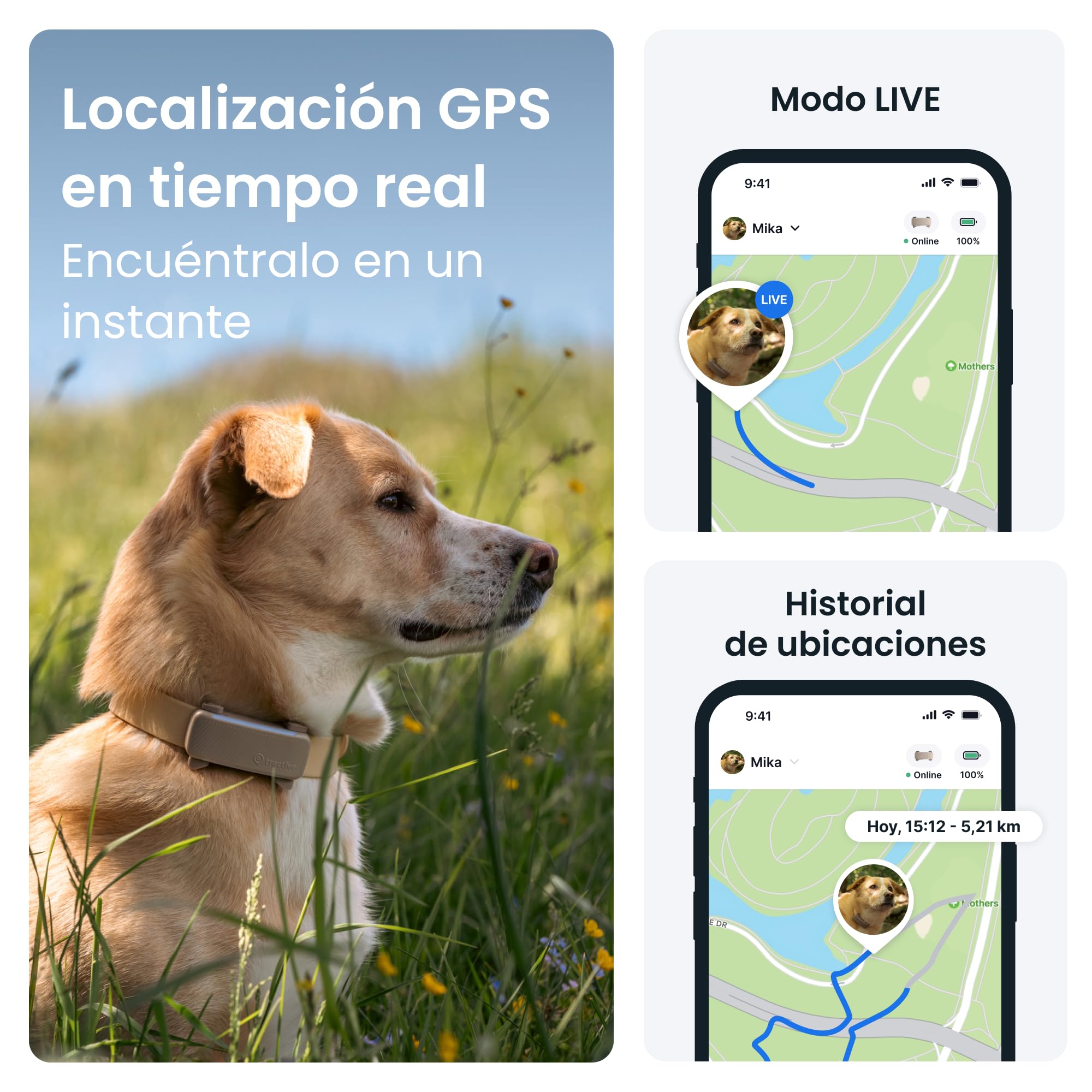 Tractive - GPS perros | 2025 Edición | N.º 1 del mercado | Localización en tiempo real | Alertas antifuga | Monitor de actividad | Avisos de salud | Seguimiento de ladridos (Marrón)