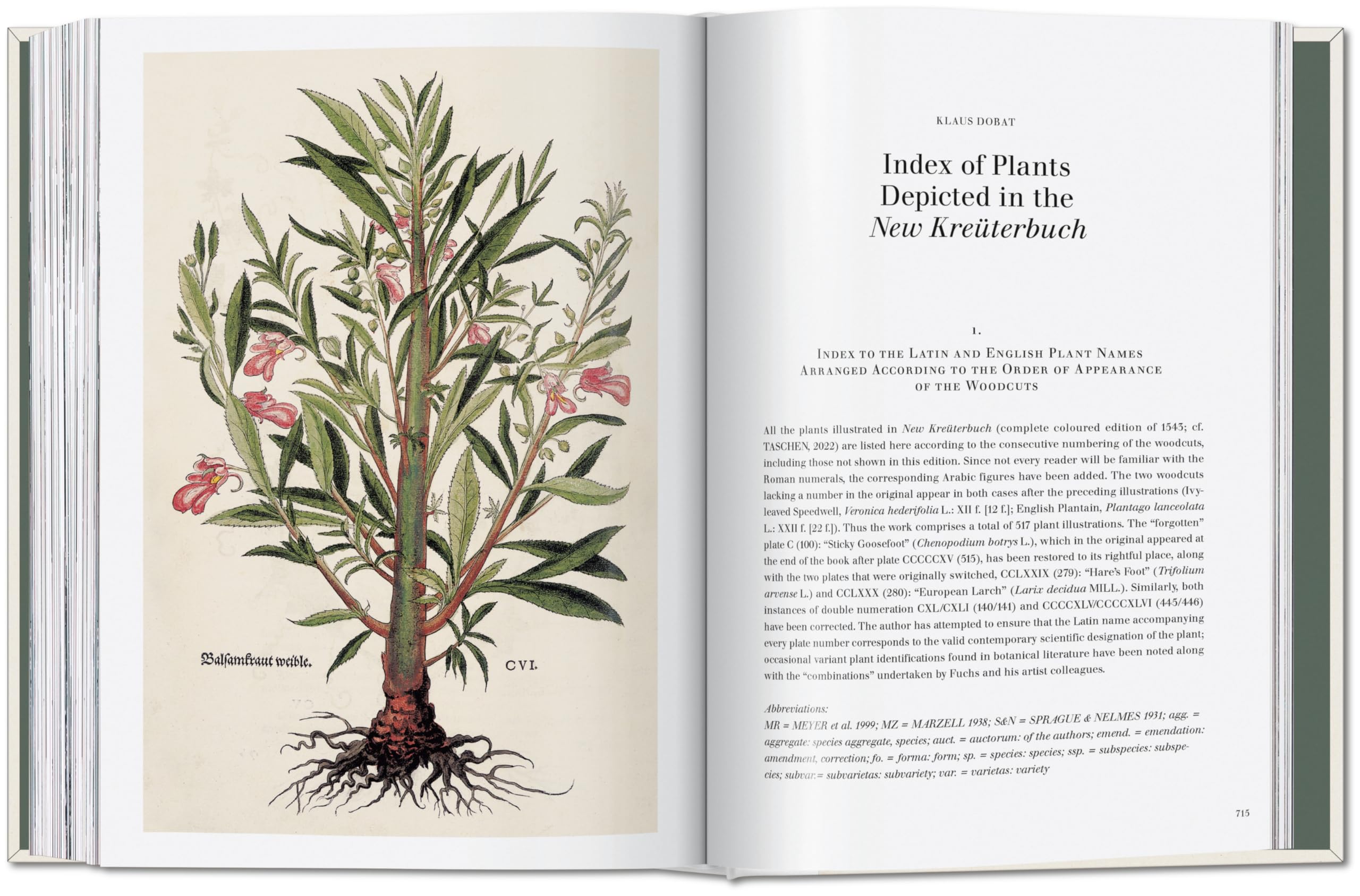 Leonhart Fuchs: The New Herbal