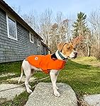 Review Image by Kristina Clark Kristina Clark