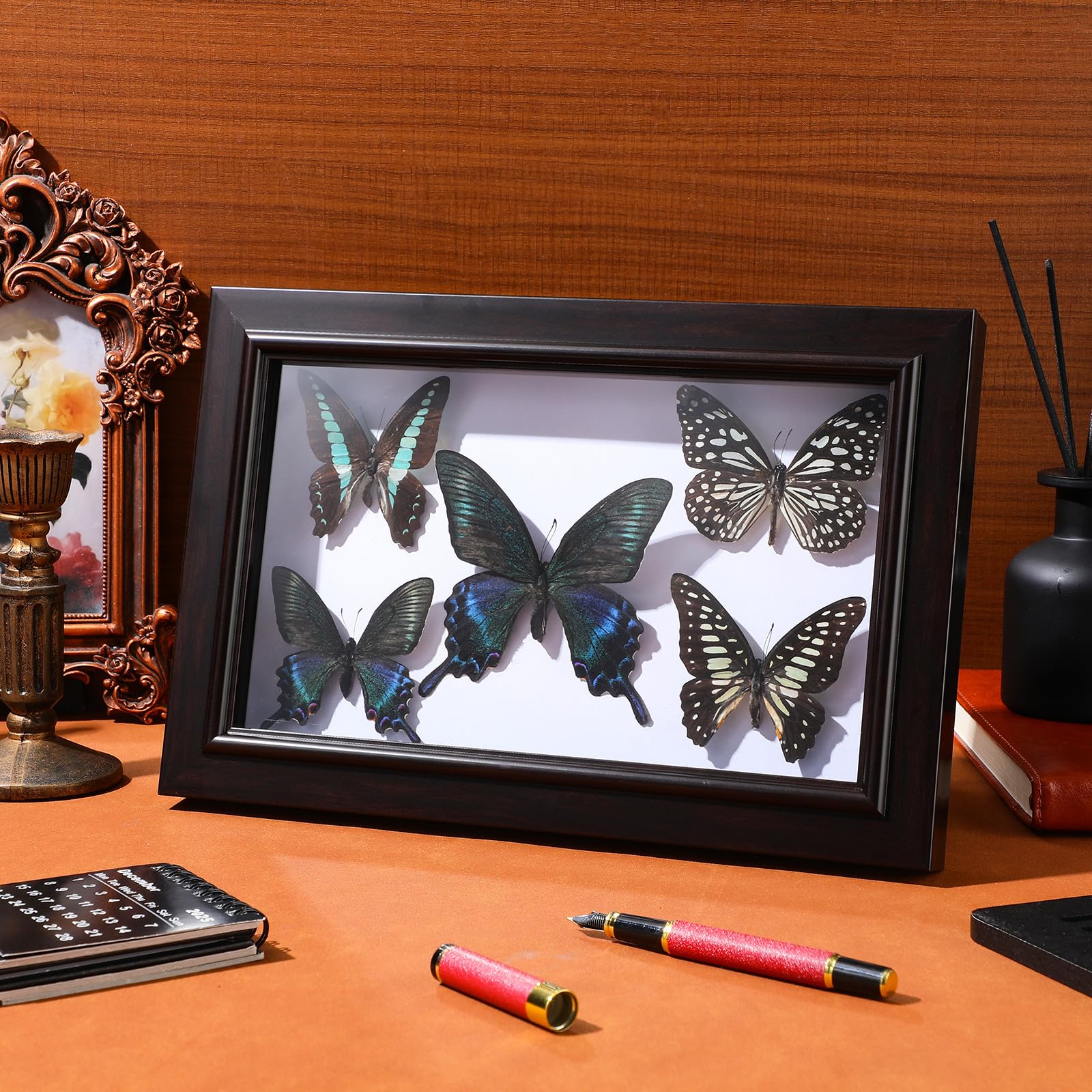 Marco de Muestra de Mariposas Disecadas para Colgar Pared, Decoración Artesanal de Madera, Ejemplar Hecho a Mano, Decoración para Sala de Estar y Colección Educativa, Tamaño A7