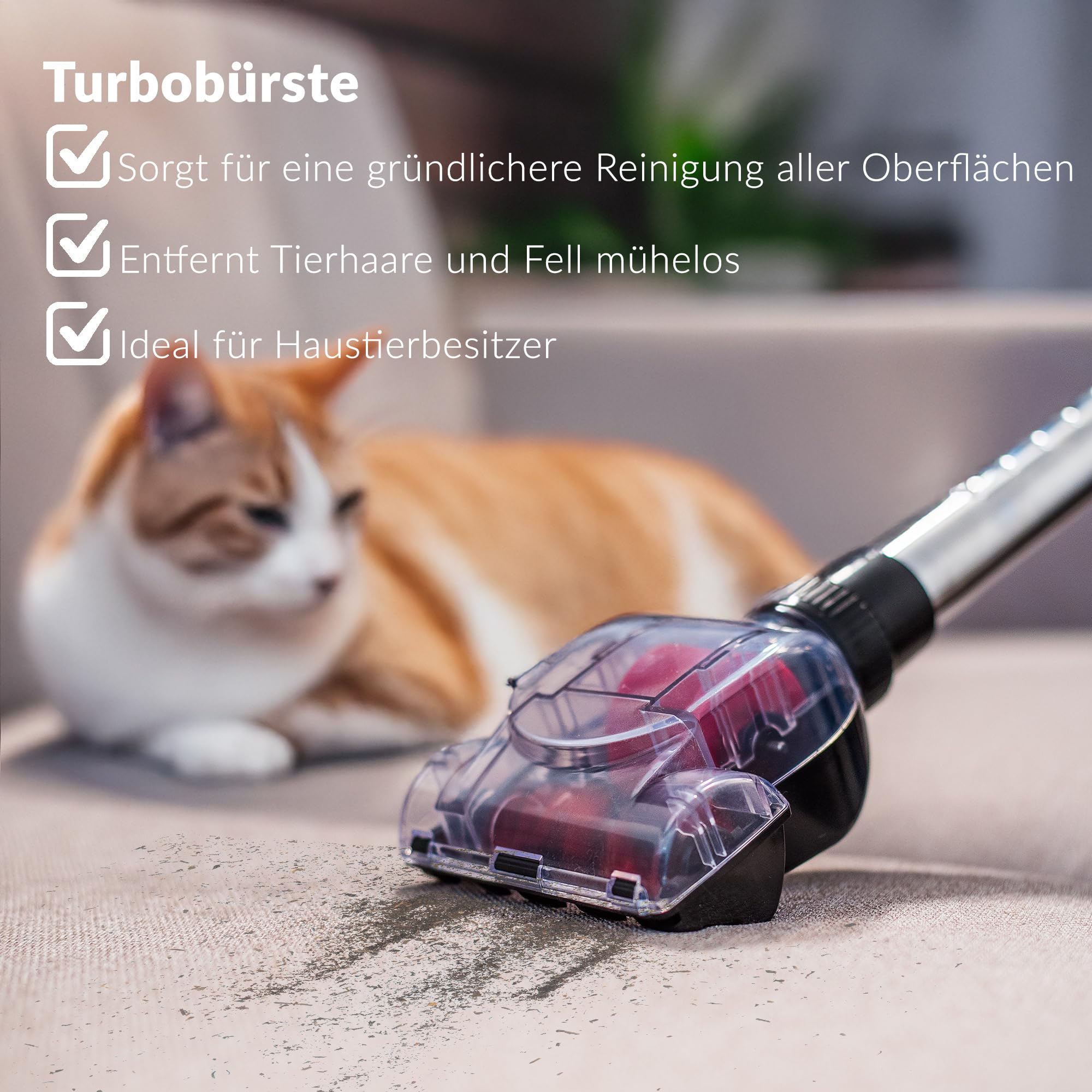 Lehmann Zyklon Staubsauger beutellos, Schwarz | leistungsstark Zyklontechnologie, Staubbehälter 2,5L, Doppelfiltration, HEPA Filter, 5 Düsensatz, Turbobürste
