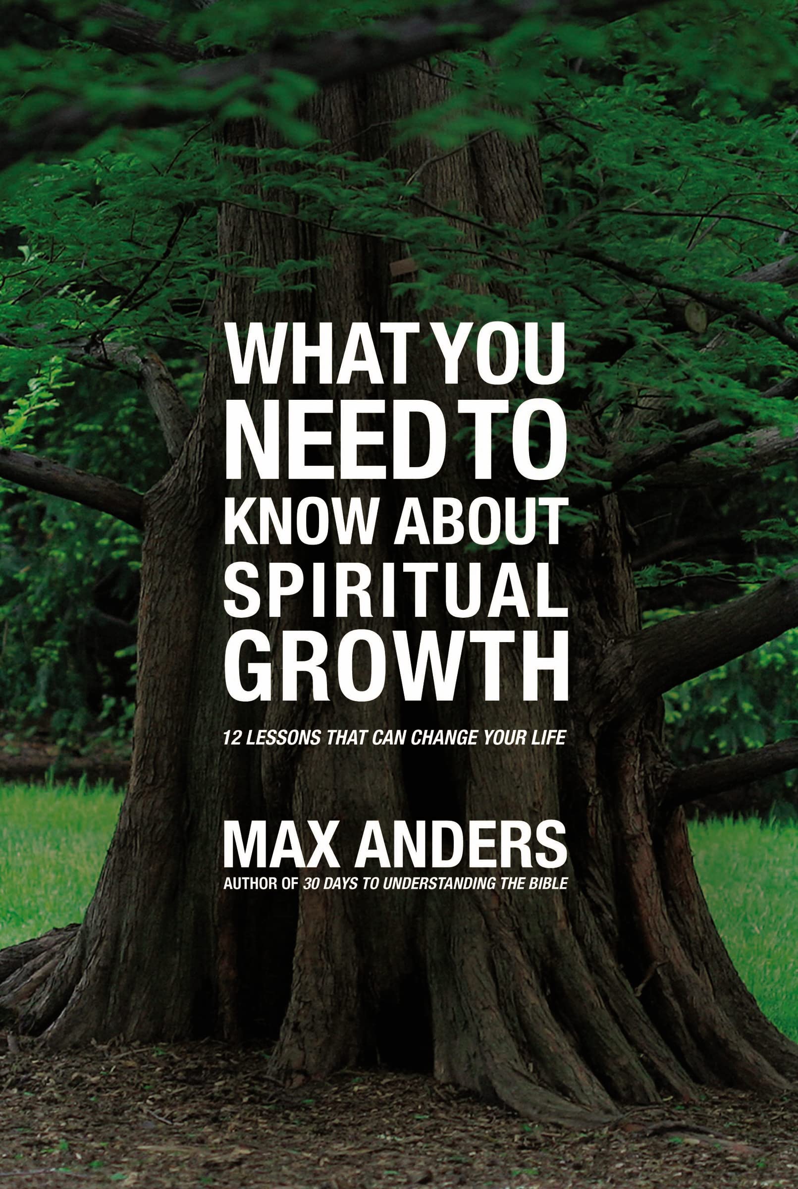 What You Need to Know About Spiritual Growth: 12 Lessons That Can Change Your Life (What You Need to Know Study Guide)