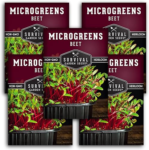 Miniatura 1 de 5 paquetes de semillas de microverduras de remolacha para plantar y cultivar  Planta microvegetales de hoja verde en interiores  Cultiva tu propio