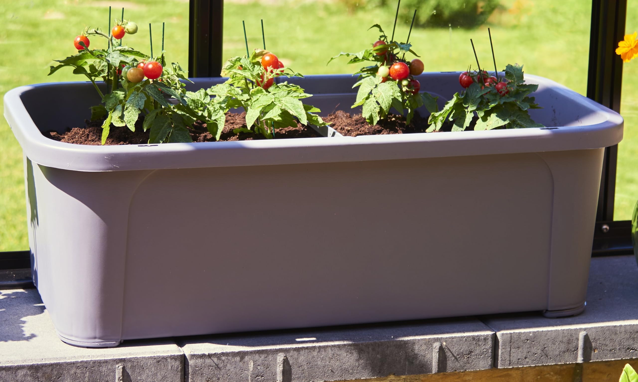 Verhoogd Bloembed met Deksel - Broeibak, Kruidenbak, Kweekbak, Plantenbak voor Groente, Bloembak, Tuin, Groentebed, Bloempot, Tomatenhuis (76 cm Verhoogd Bloembed met Deksel - Broeibak, Kruidenbak, Kweekbak, Plantenbak voor Groente, Bloembak, Tuin, Groentebed, Bloempot, Tomatenhuis (76 cm