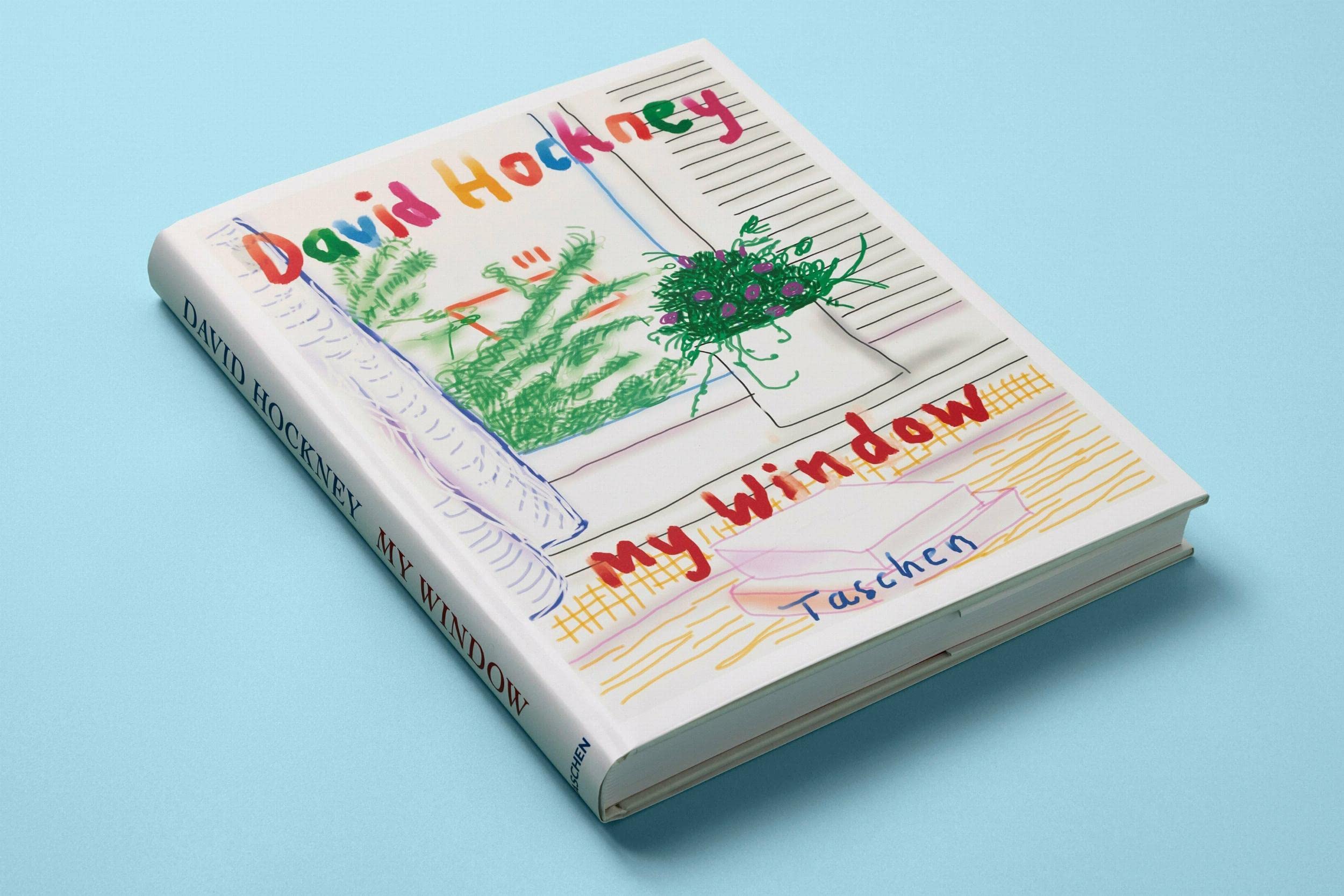 David Hockney: My Window (XL)