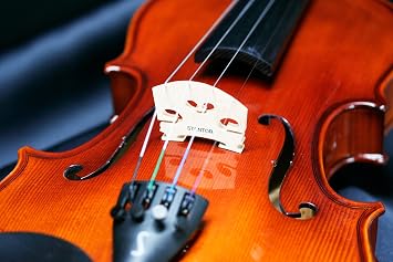Stentor Conservatoire Violin Outfit 1/2