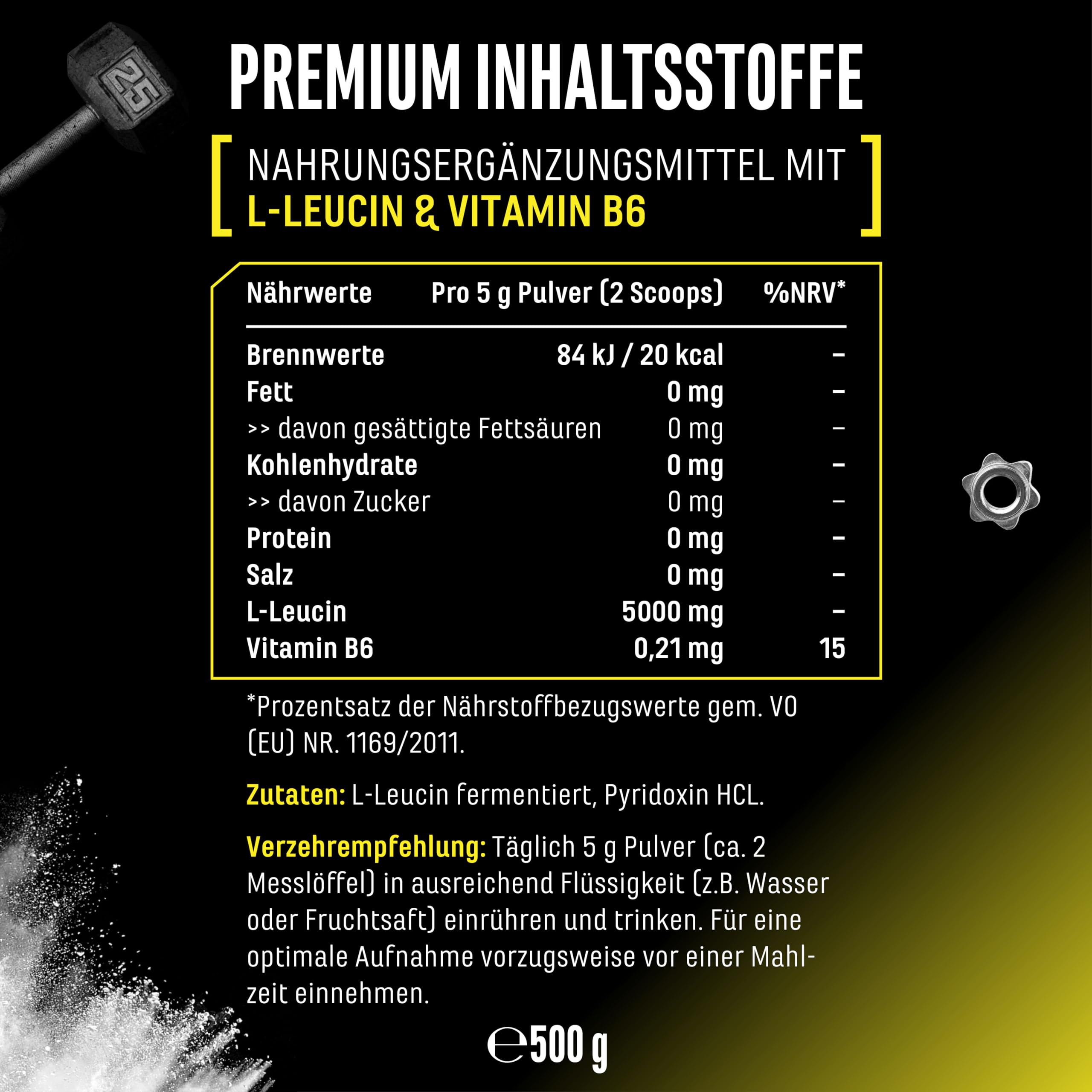 Leucin - 500 g Pulver - Hohe Reinheit - Premium Rohstoff: Natürliches L-Leucin fermentiert - Aminosäure - Ohne unerwünschte Zusätze, vegan