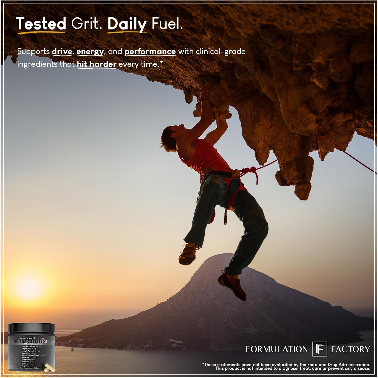 Formulation Factory Self Obsessed Masculine Vitality & Testosterone Support - 10-in-1 Complex with Shilajit, Tongkat Ali, & Fadogia Agrestis - Self Obsessed Maxxed - 120 Capsules, 2 Month Supply