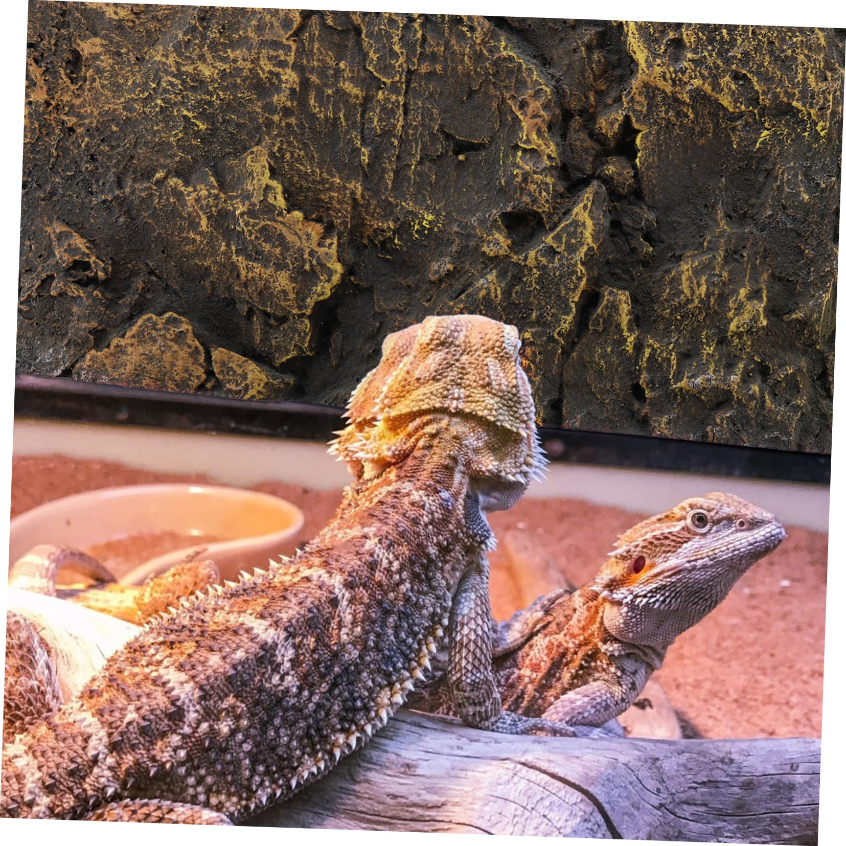 HOLIDYOYO Aquarium Rock Background Reptile Tank Decoration 3D Turtle Tank Background Plate Easy to Assemble