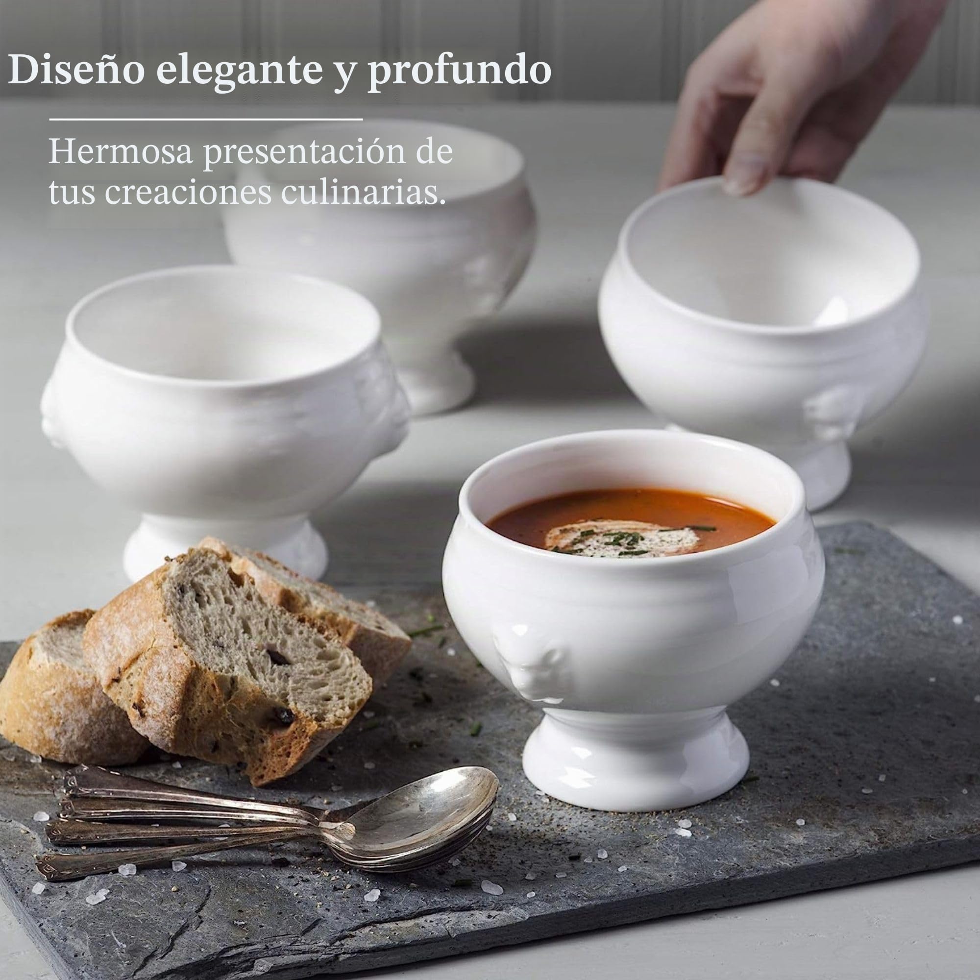 WM Bartleet & Sons 1750 TSET121 Juego de 4 Cuencos para Sopa y guiso de Cebolla Francesa (Porcelana, 350 ml), Color Blanco