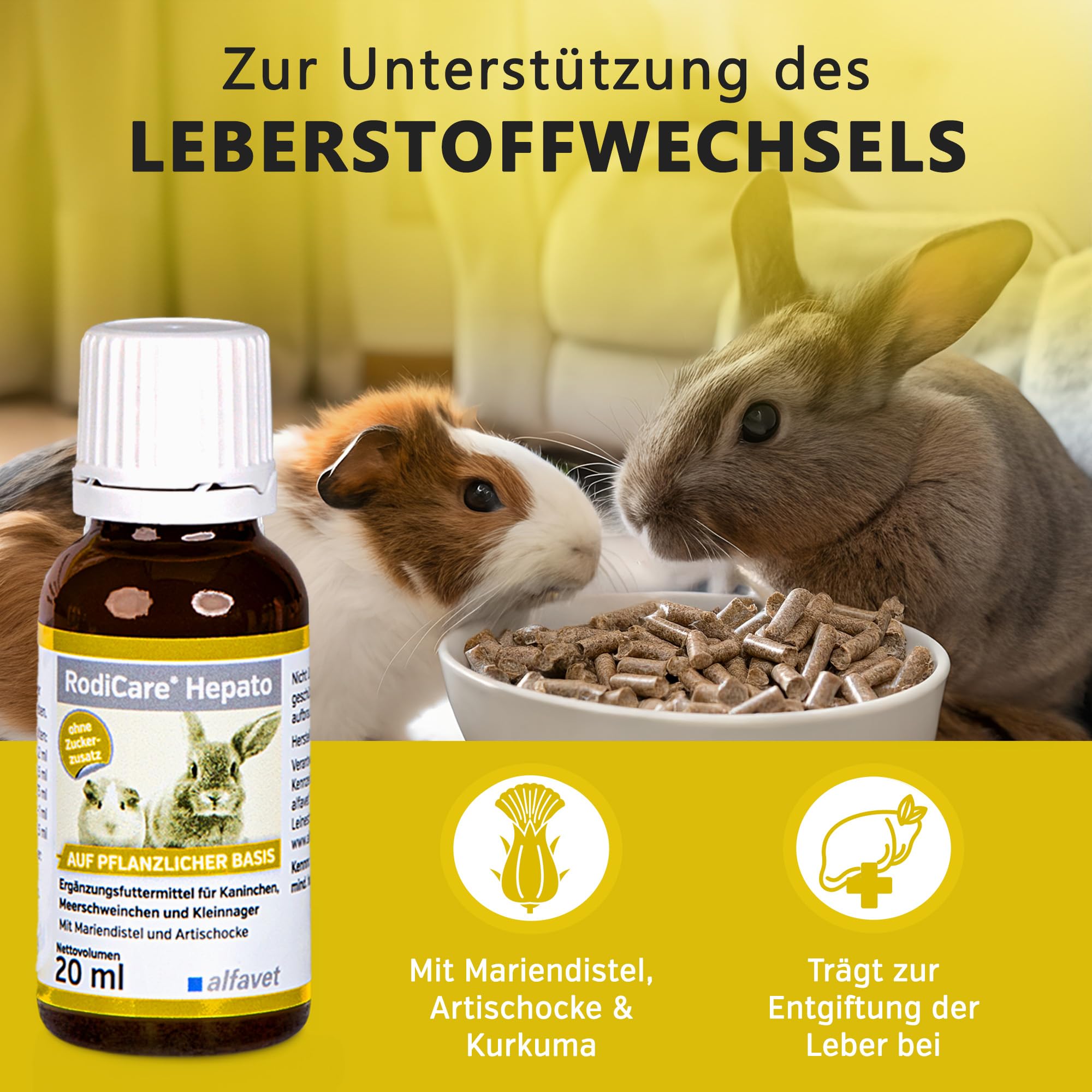 Alfavet RodiCare Hepato (20 ml) – Supporto della funzione epatica e del metabolismo nei conigli, porcellini d’India e piccoli roditori – senza zucchero, con siringa dosatrice
