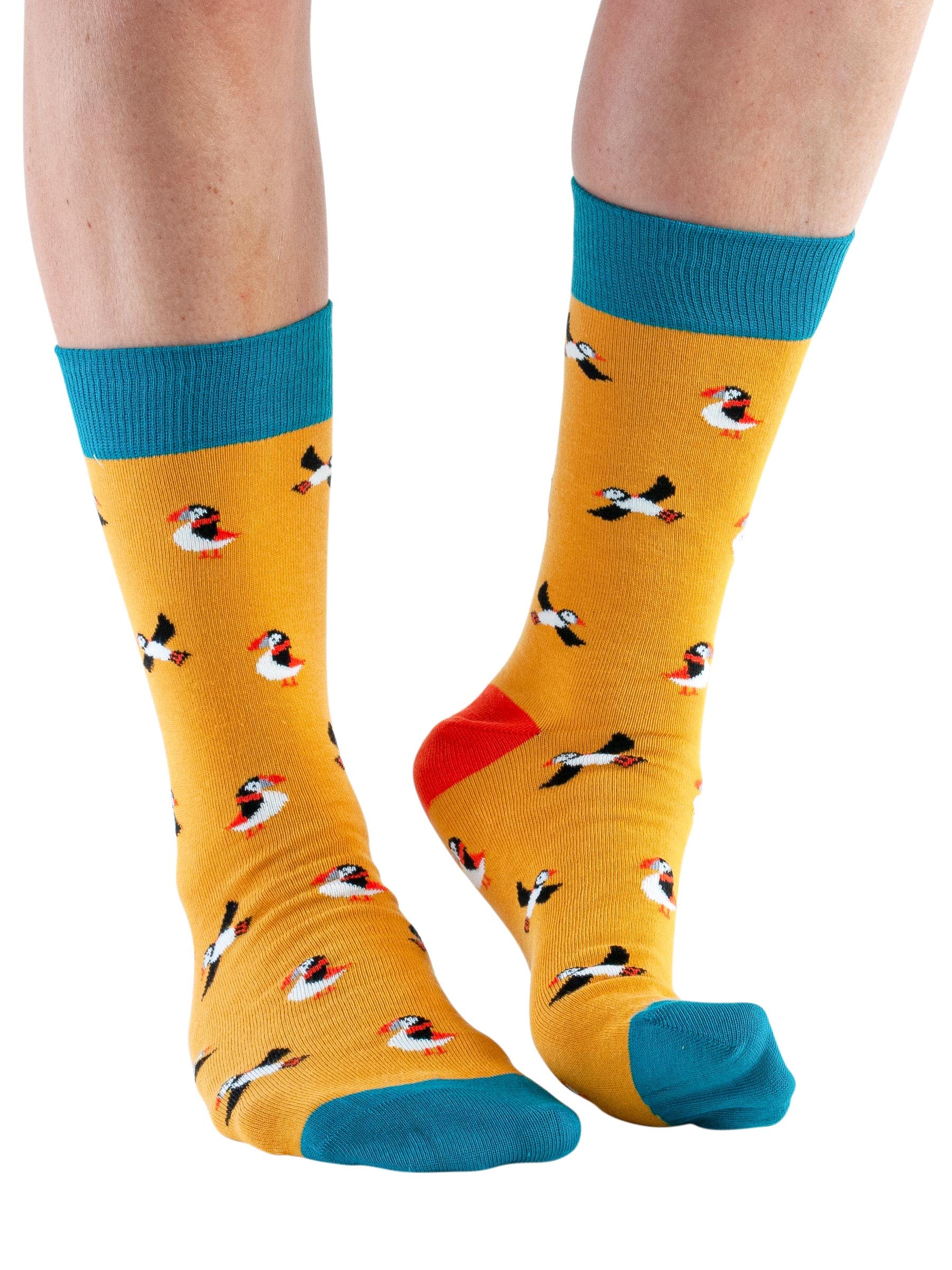 Doris & DudeWomen Bamboo Crew Socks