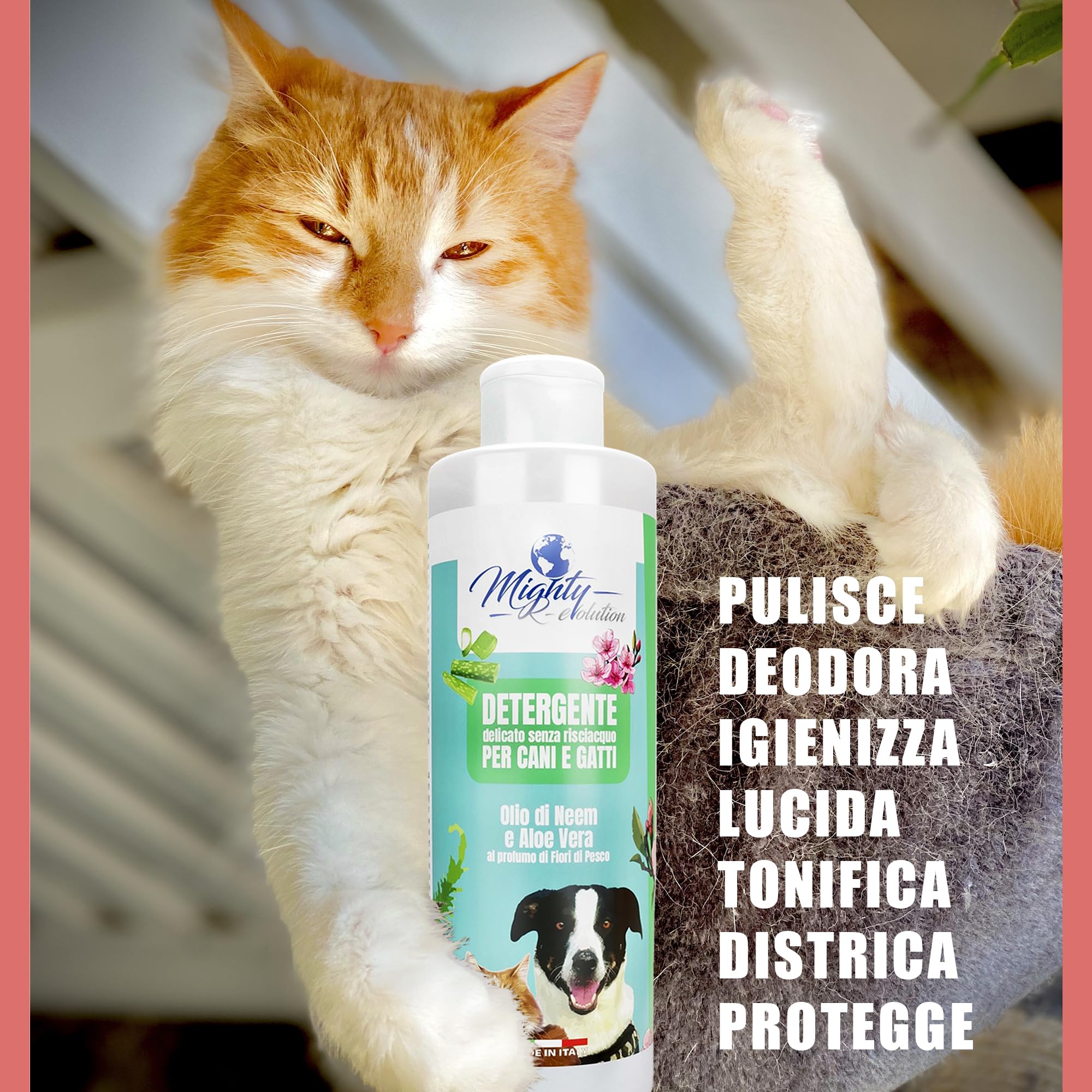 Gel Detergente Senza Risciacquo all’Olio di Neem e Aloe Vera, Shampoo a Secco per Cane, Gatto e Conigli a Pelo Lungo o Corto, Senza Parabeni e Siliconi, Totalmente Naturale - 250 ml, Made in Italy