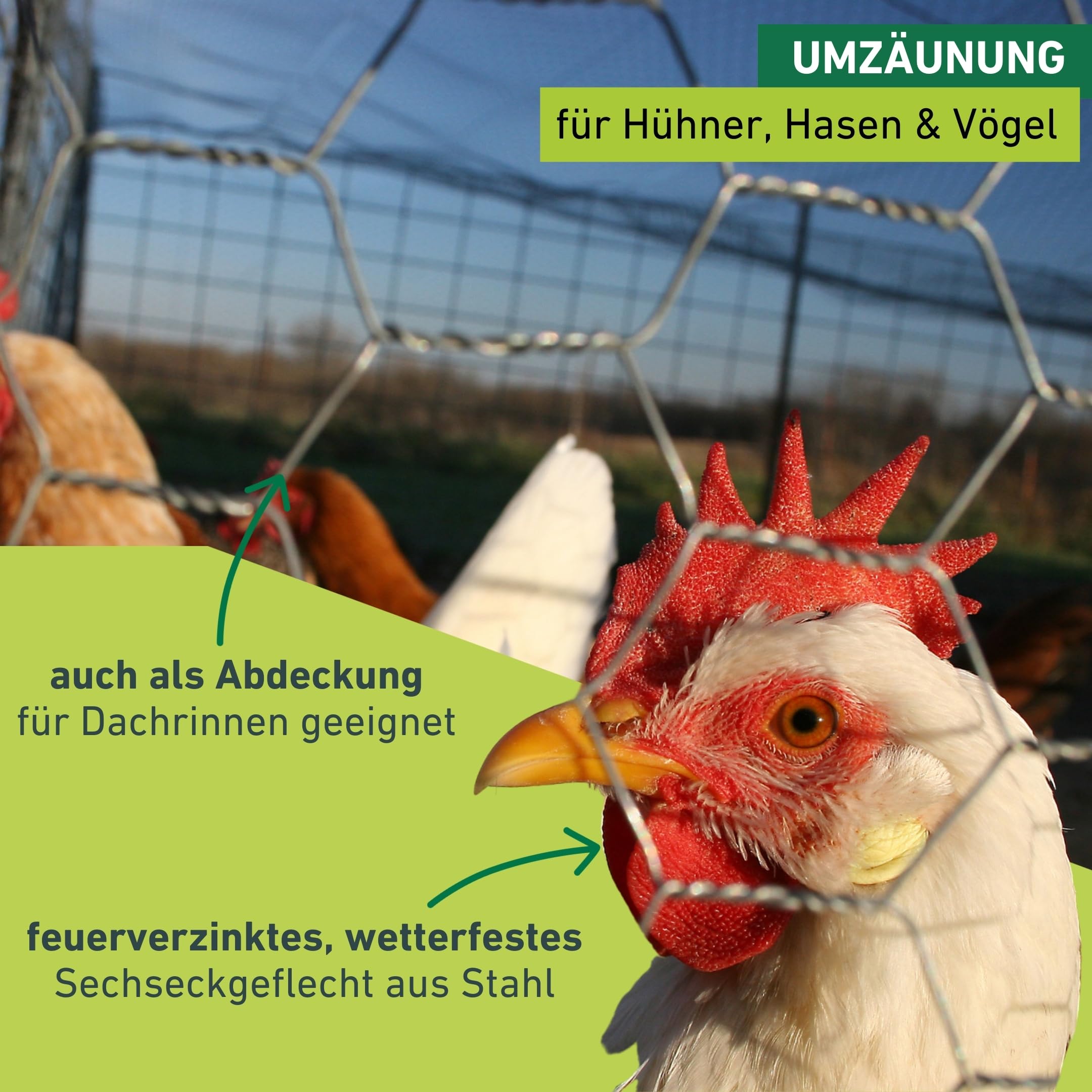 Windhager Kleintiergeflecht verzinkt, Sechseck-Geflecht, Drahtzaun für Hasen und Hühner, Dachrinnenabdeckung, Maschenweite 13 mm, 1 x 10 m