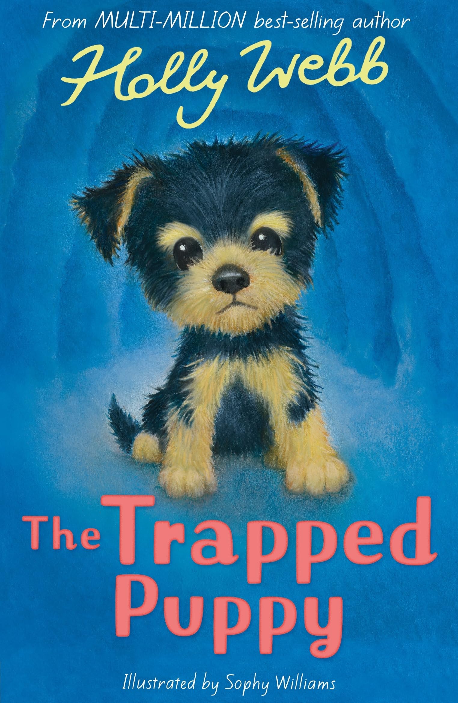 Holly Webb Unisex Multicolor The Trapped Puppy Paperback Book
