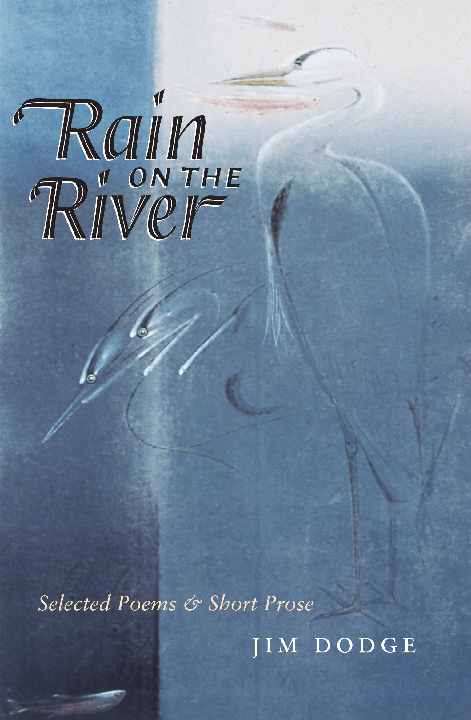 Rain On The River by Jim Dodge - 9781841952369