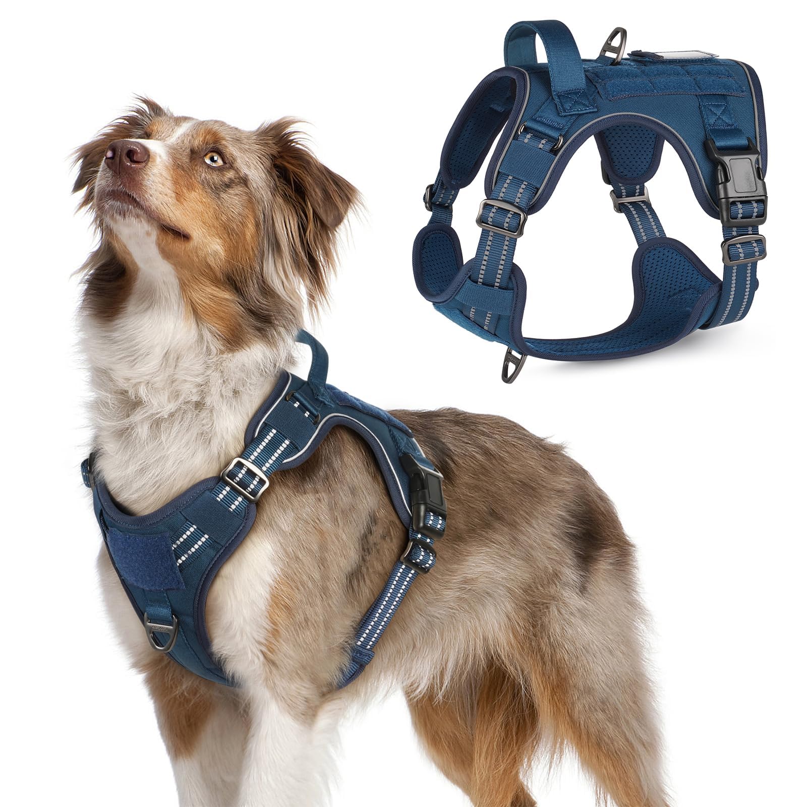 rabbitgoo Dog Harness No Pull, Military Dog Harness Medium Sized Dog with Handle & Molle, Easy Control Service Dog Vest Harness Training Walking,