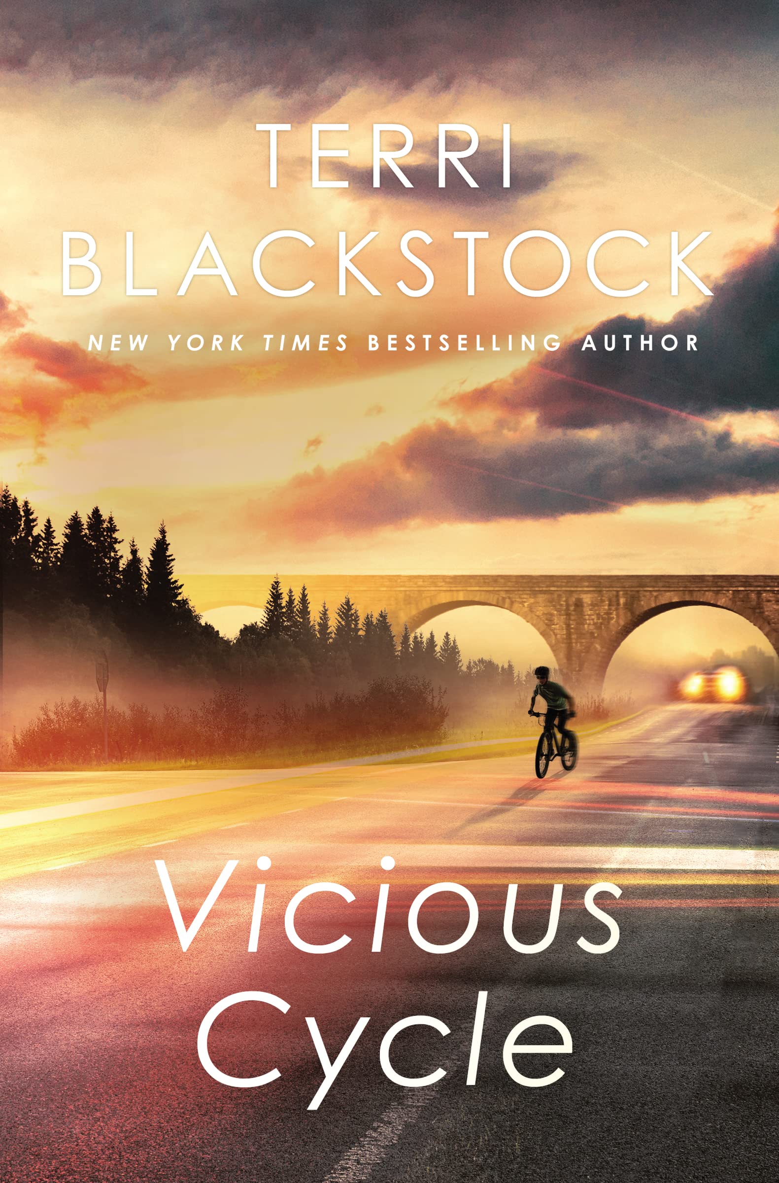 Vicious Cycle, Paperback, Terri Blackstock